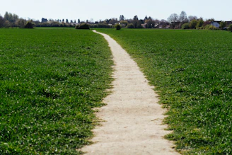 A winding dirt path through a green grassy field
