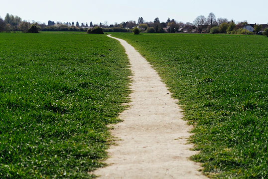 A winding dirt path through a green grassy field
