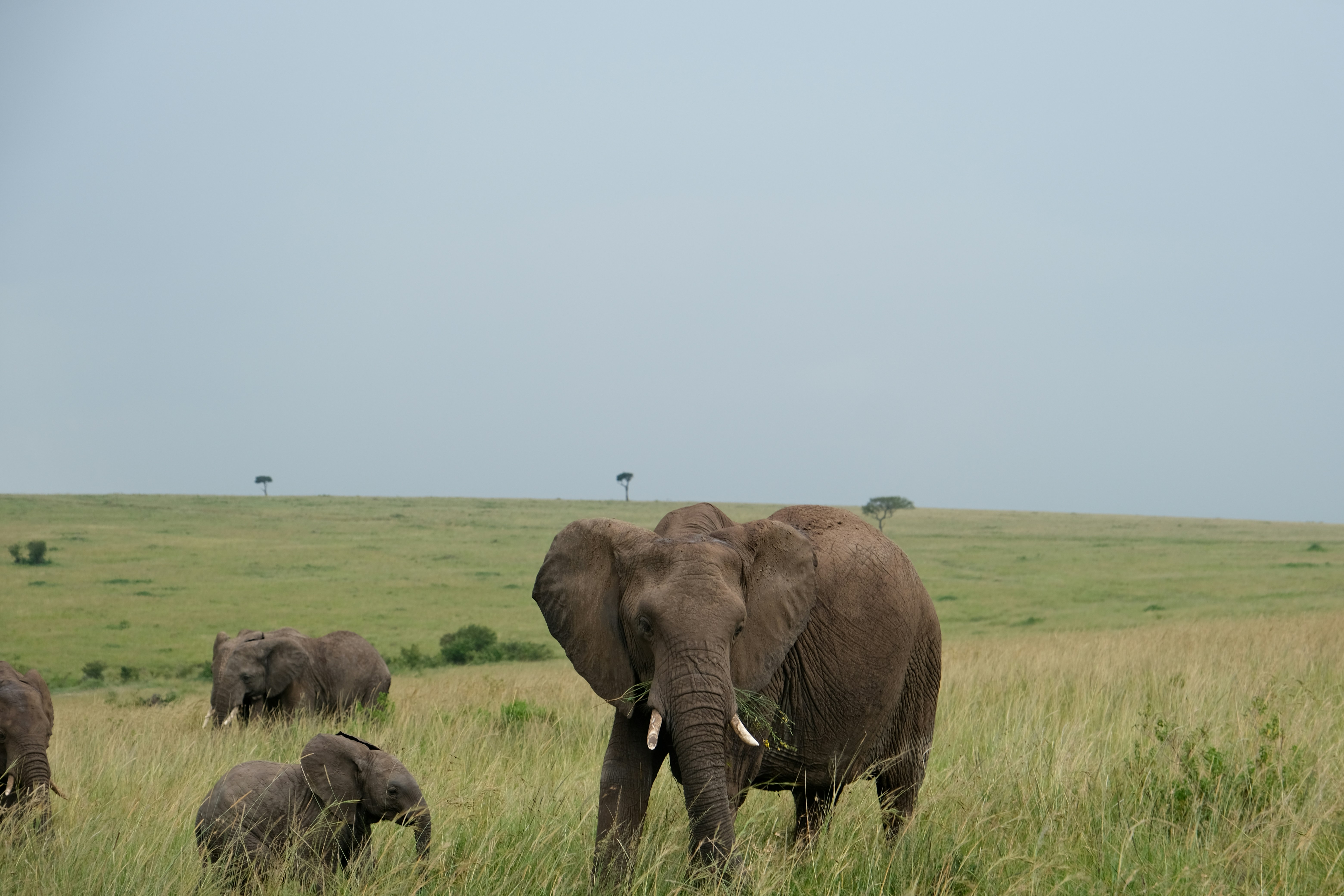 Tourism rebounds with 2.5 million arrivals