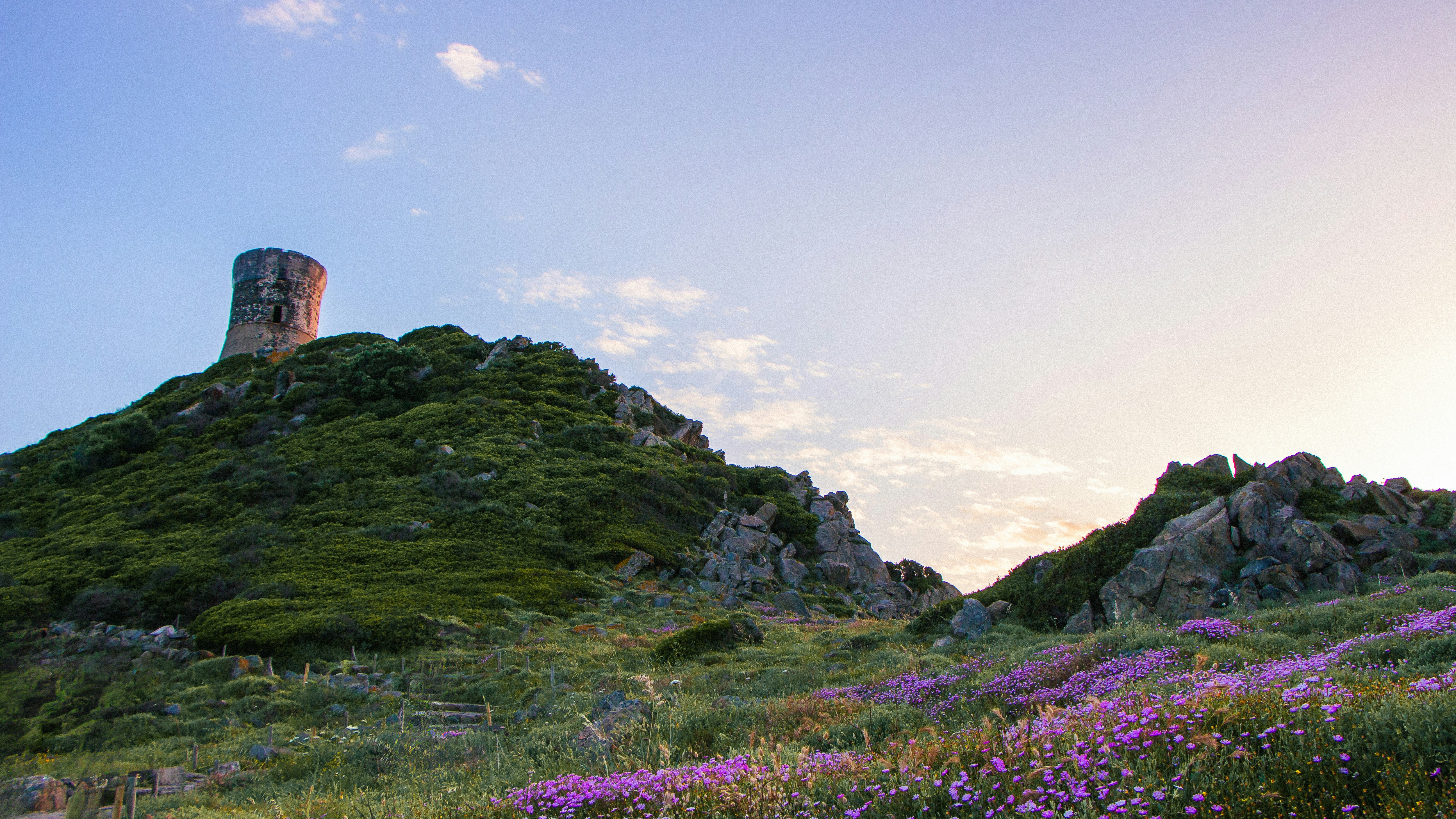 Ancient tower on a grassy hill with purple flowers