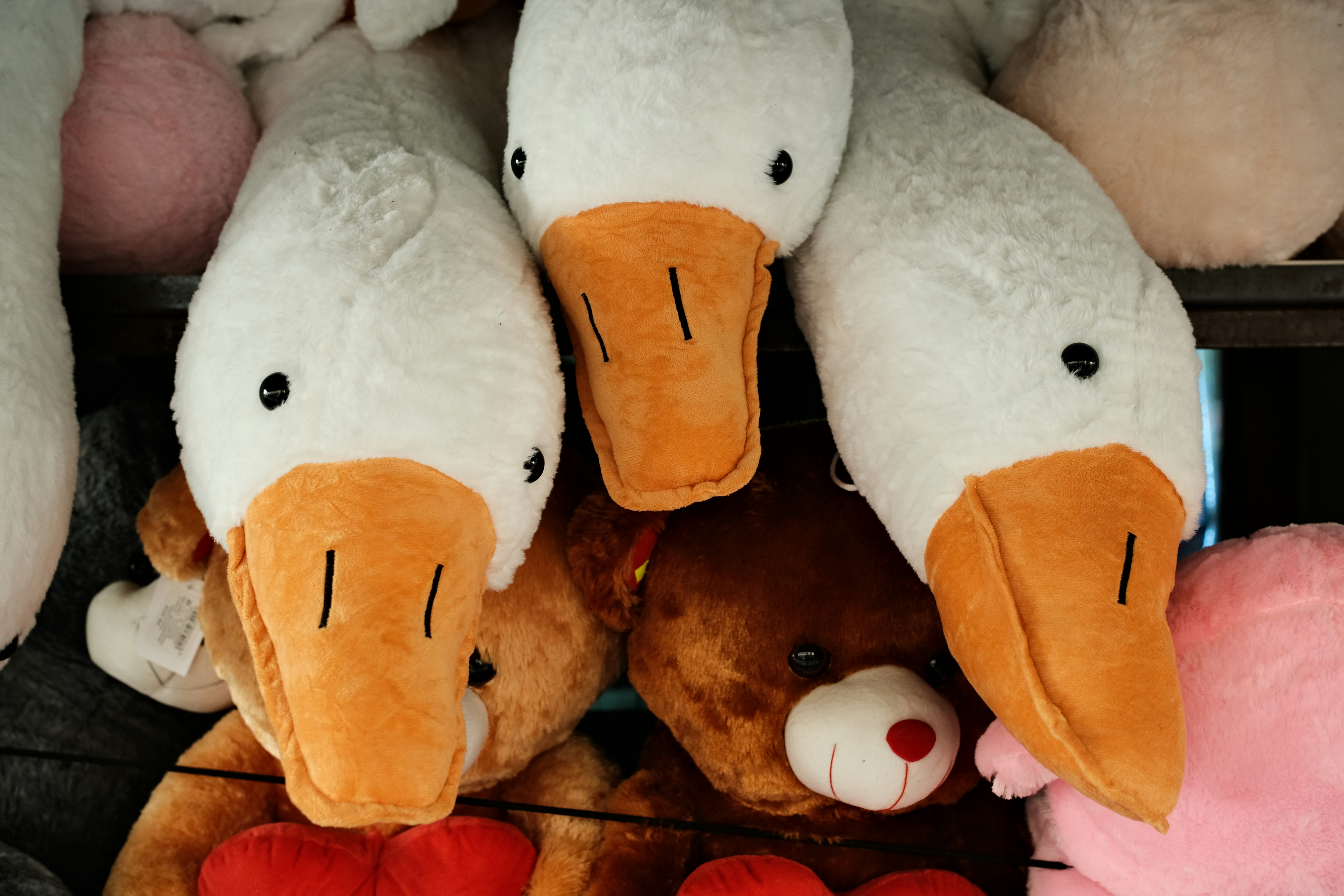 Soft Animals: The Complete Guide to the Cuddliest Plush Companions