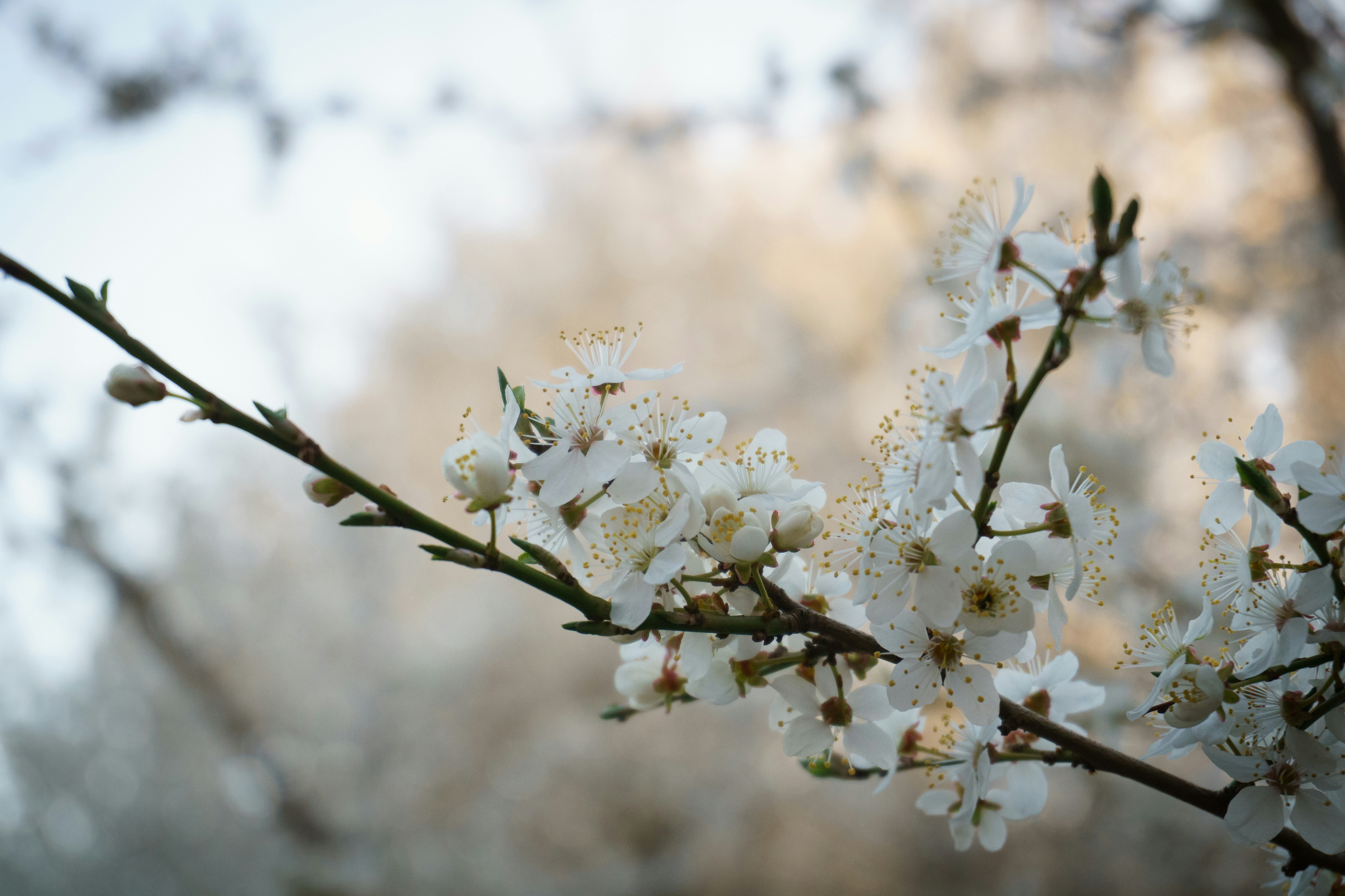 Photo by lacyec