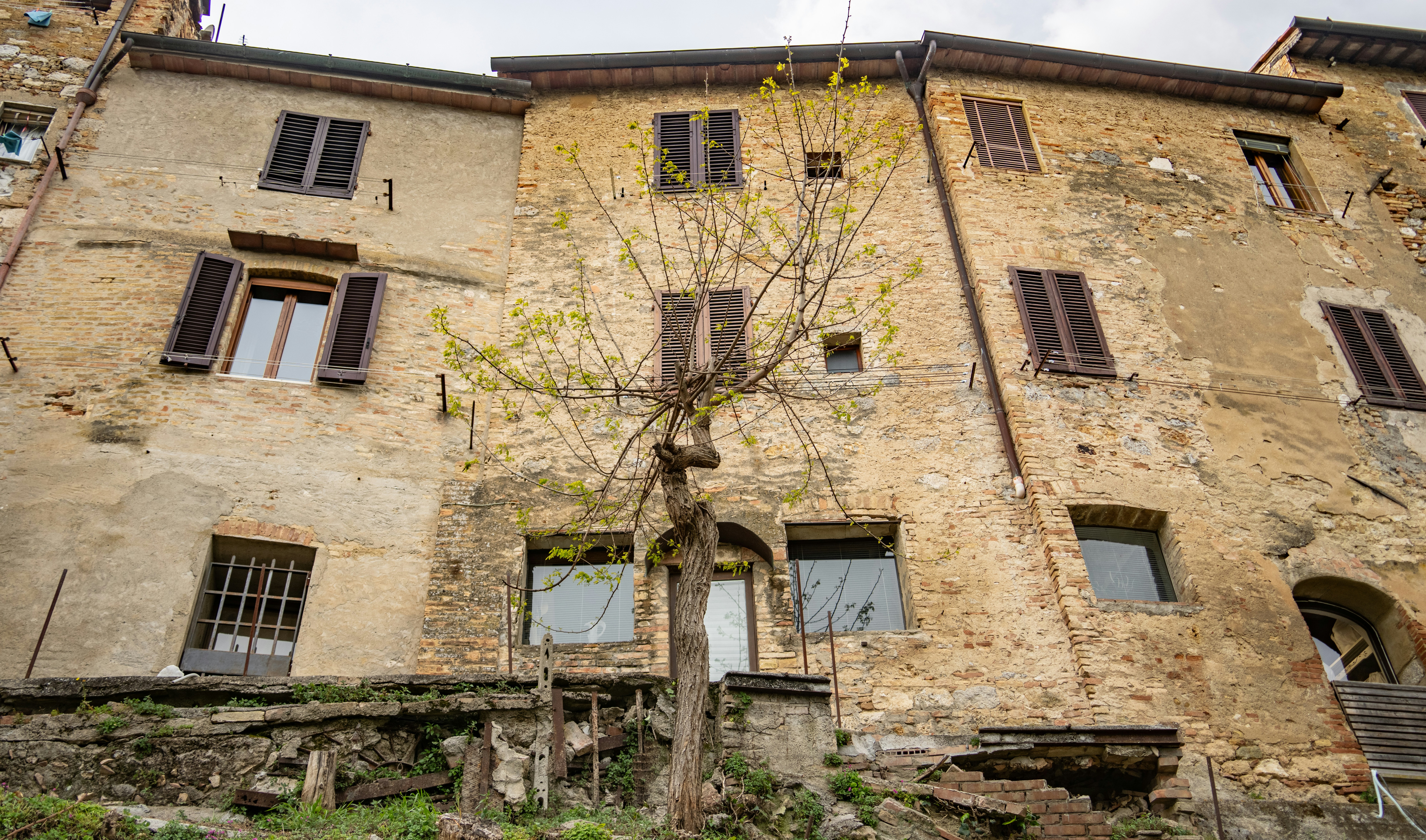 Old stone buildings with shutters and a small tree.