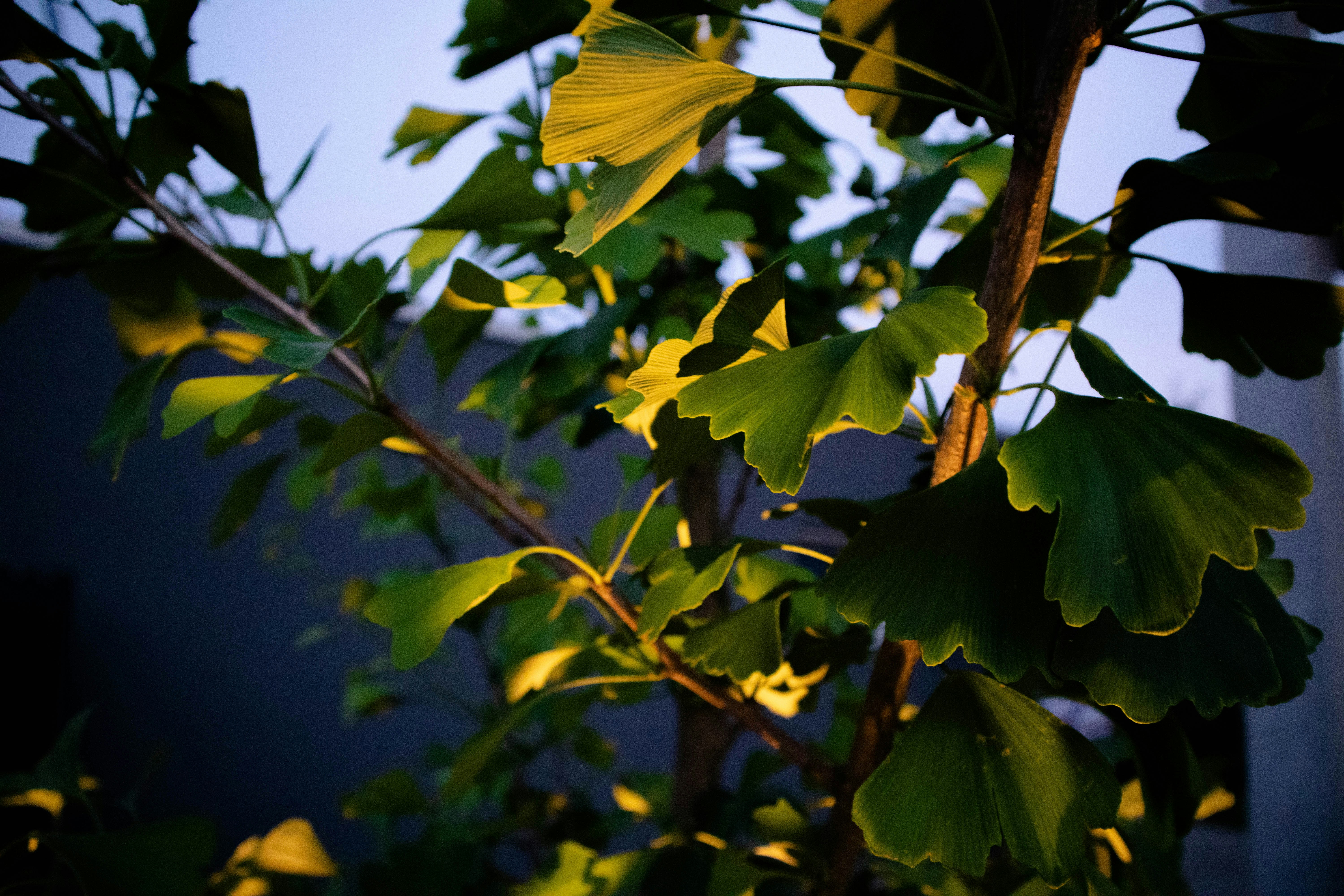 Photo by brunosimunic