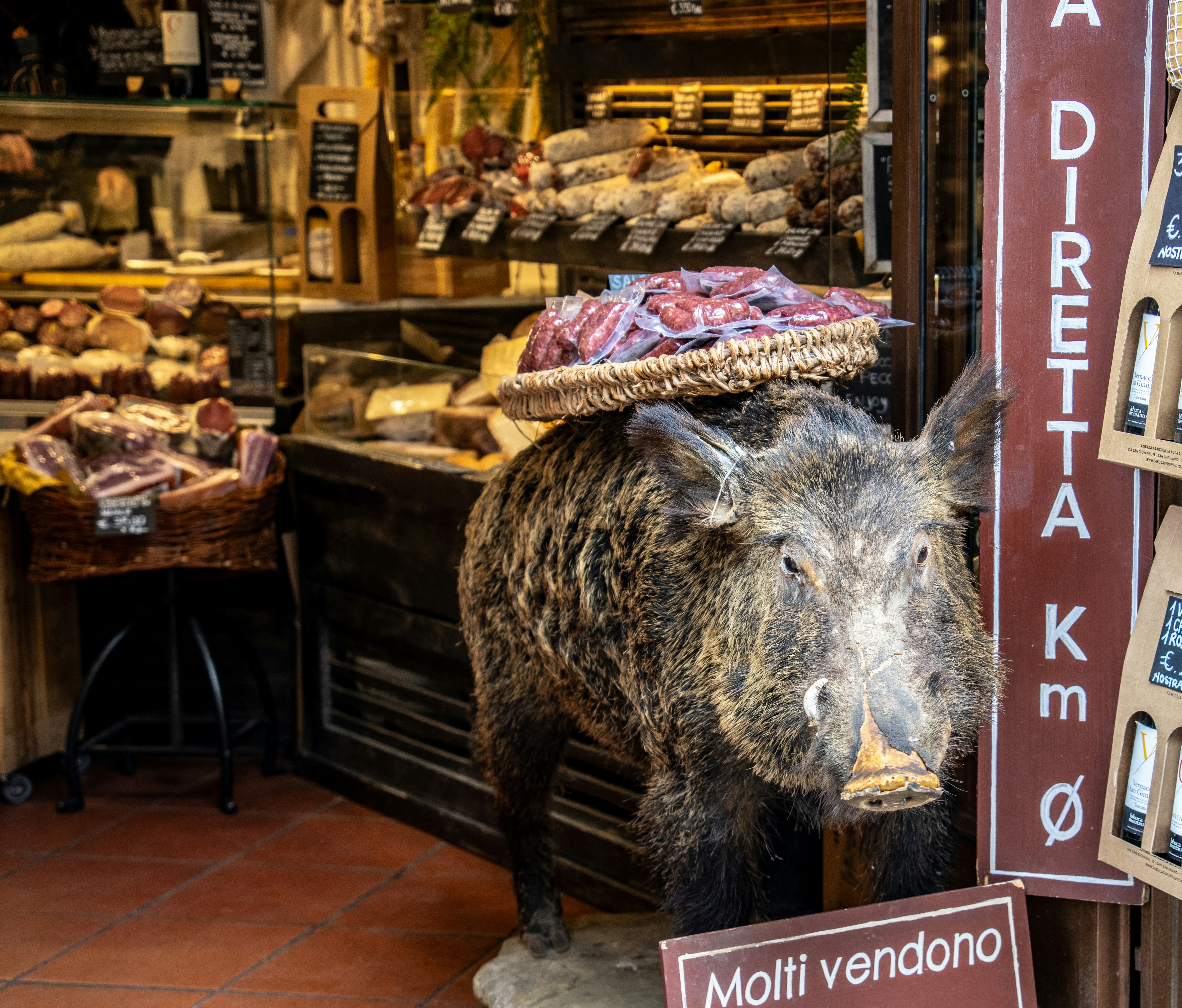 A taxidermied boar with sausages displayed in a shop.