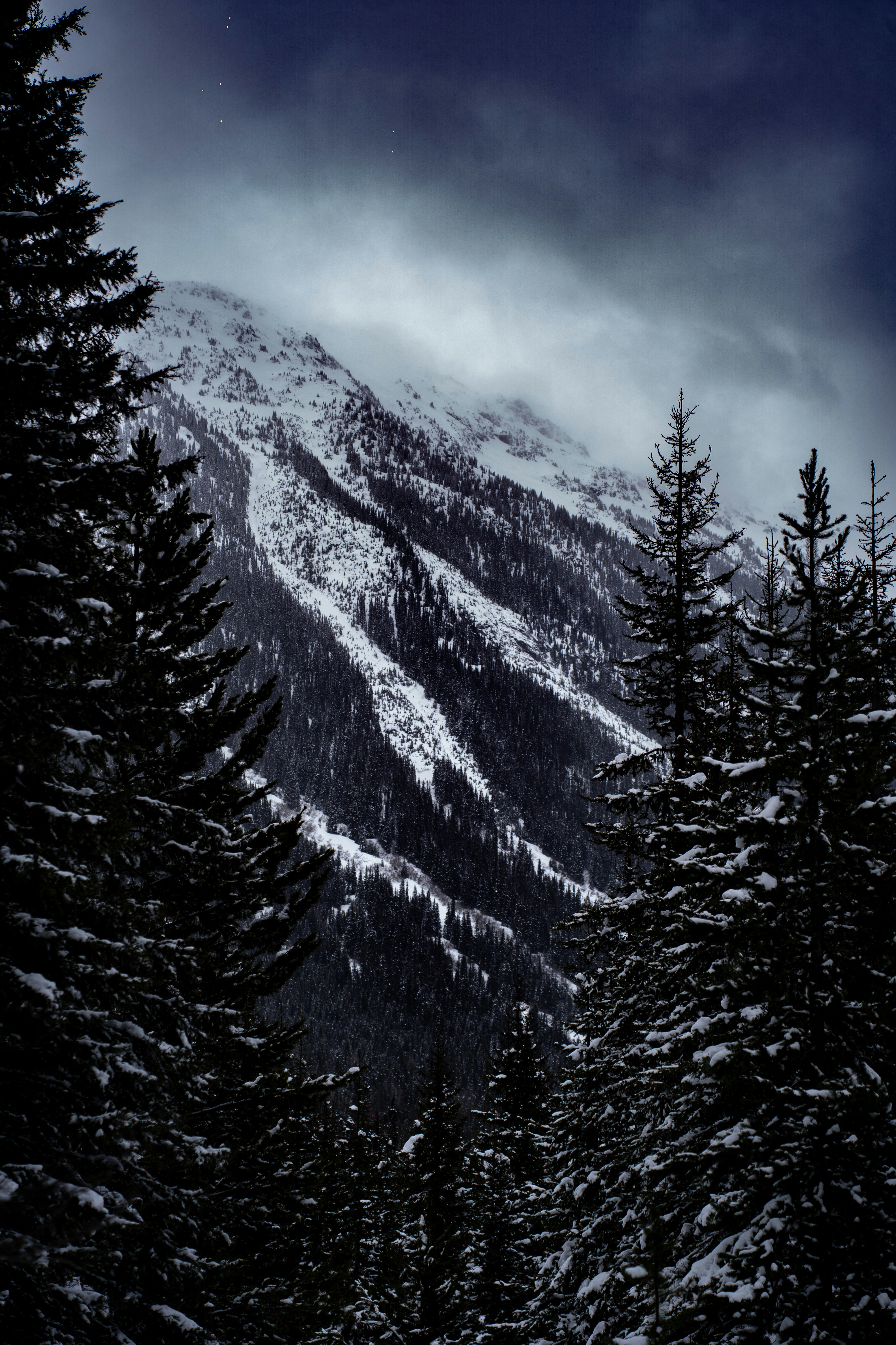 Photo by alexa_filmvibes