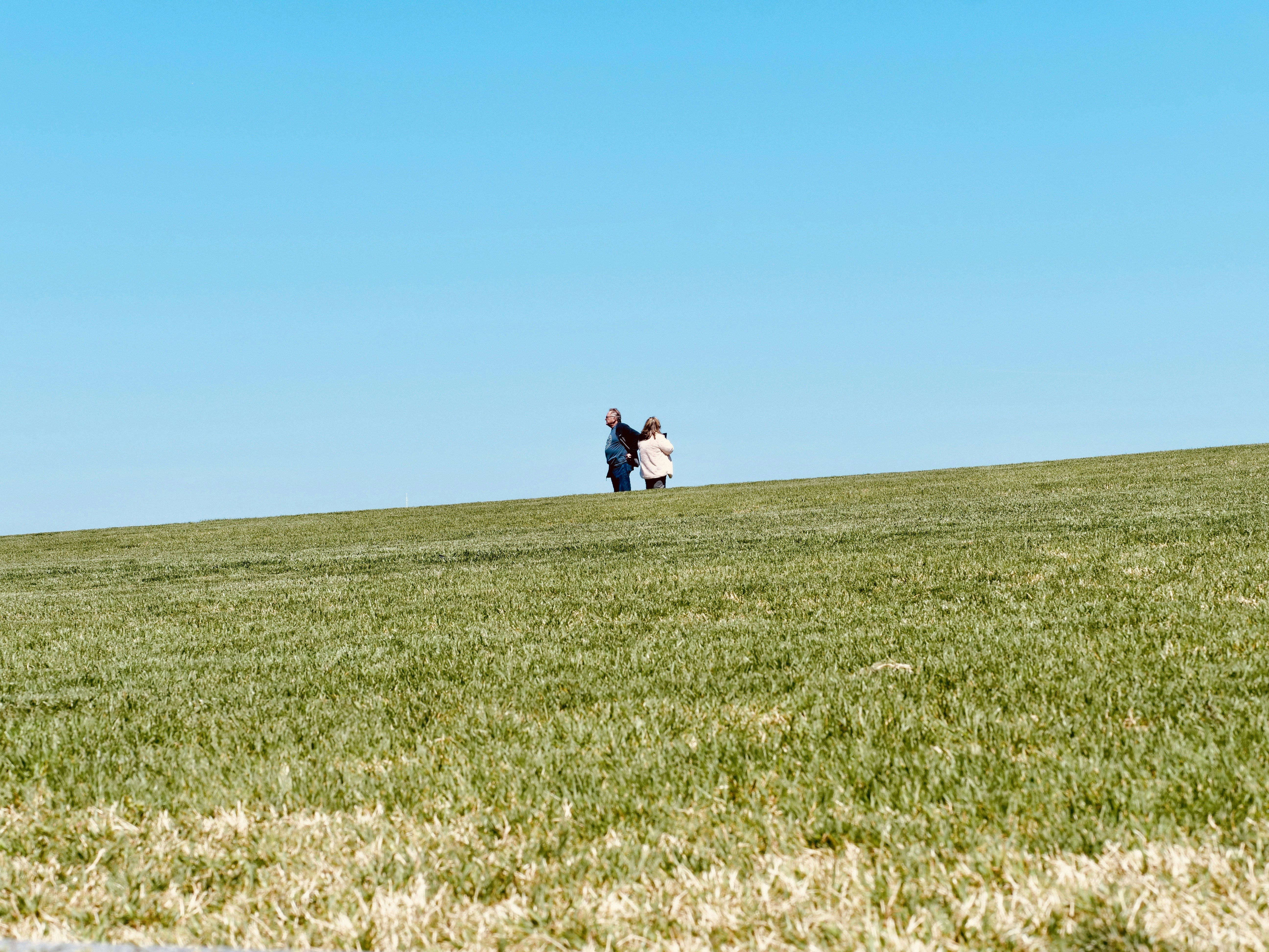 青空の下、草の丘を歩く二人