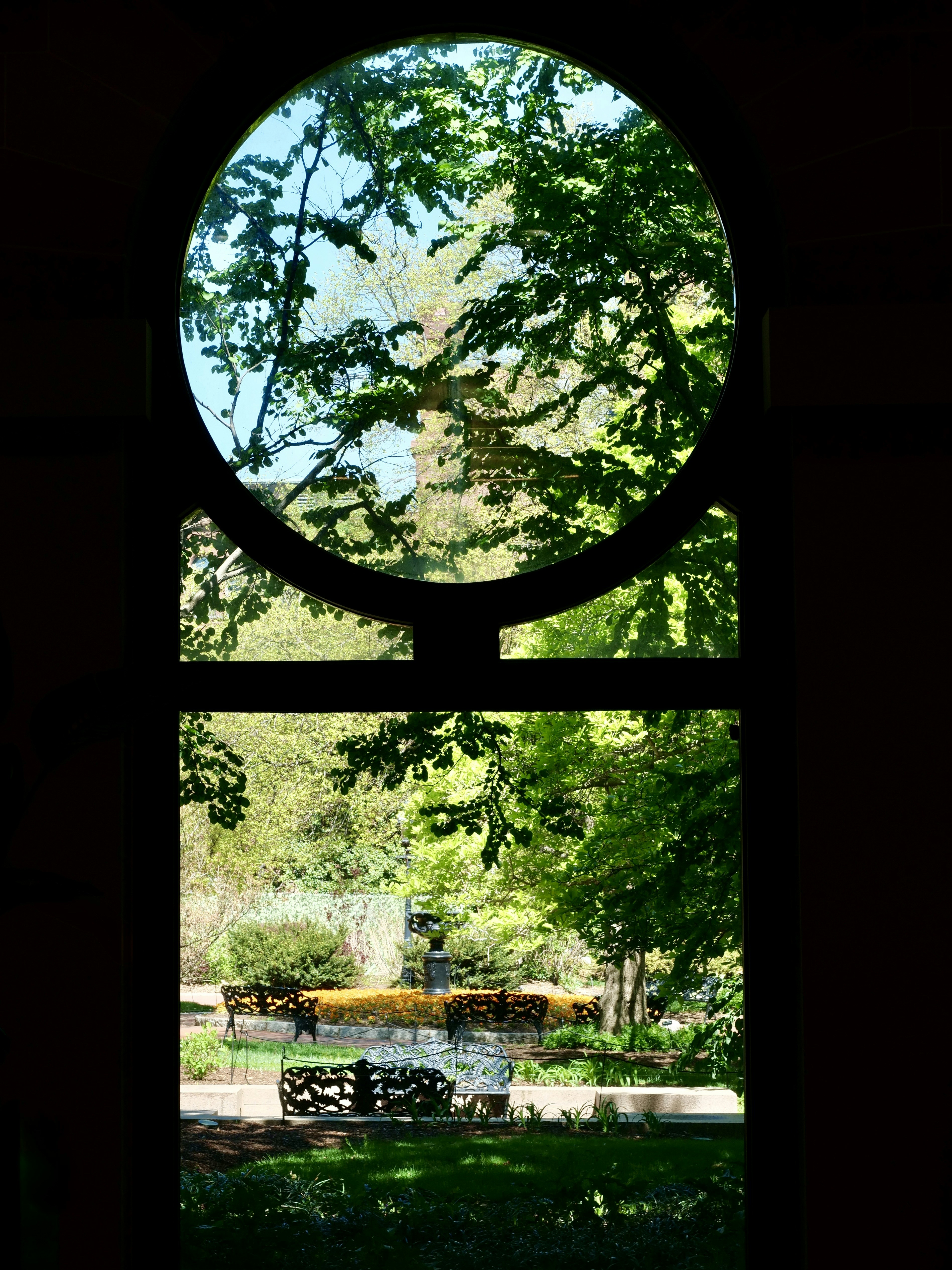 窓越しに見える緑の木々や葉。