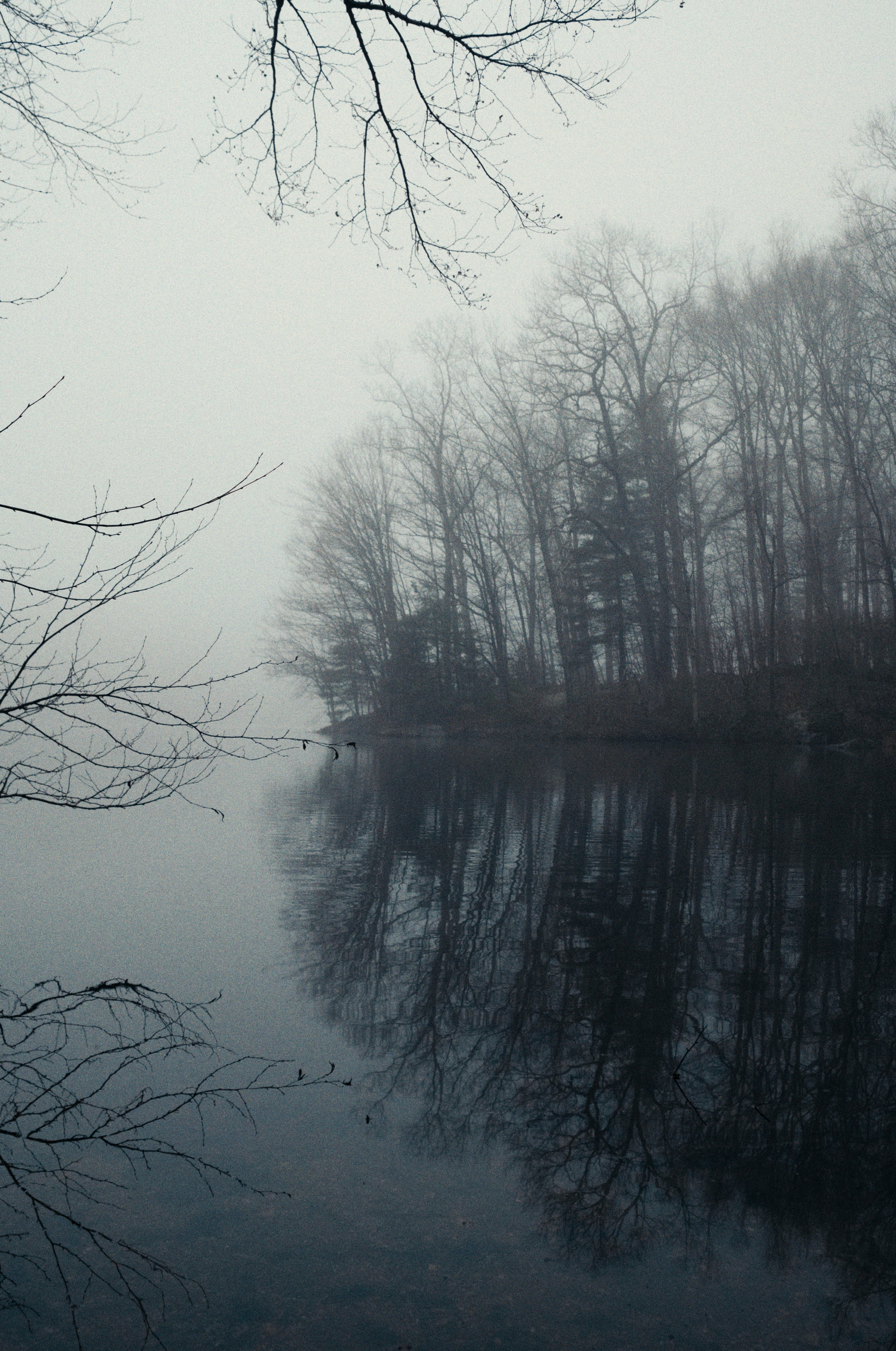 Photo by theolaflamme