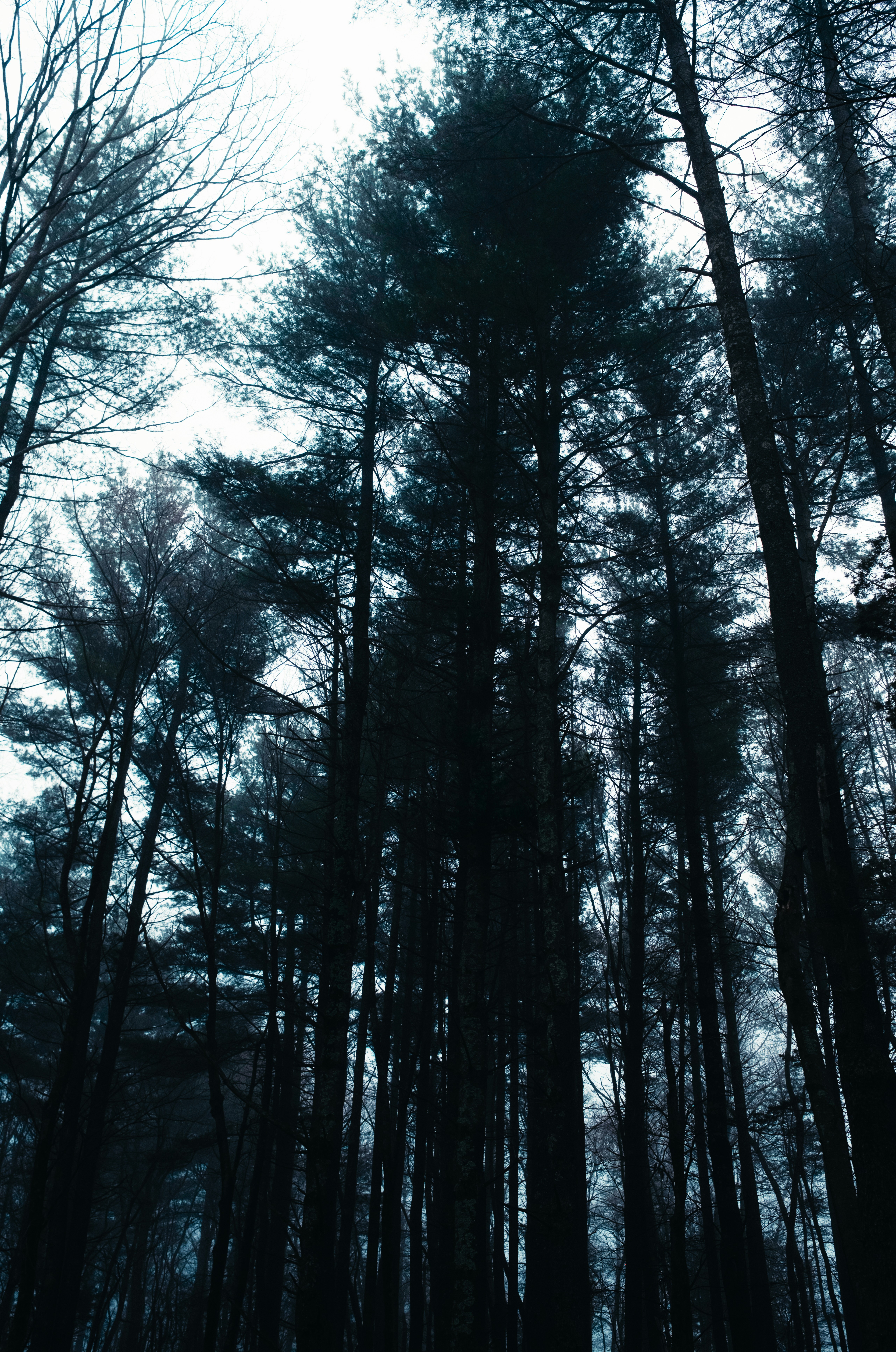 Photo by theolaflamme