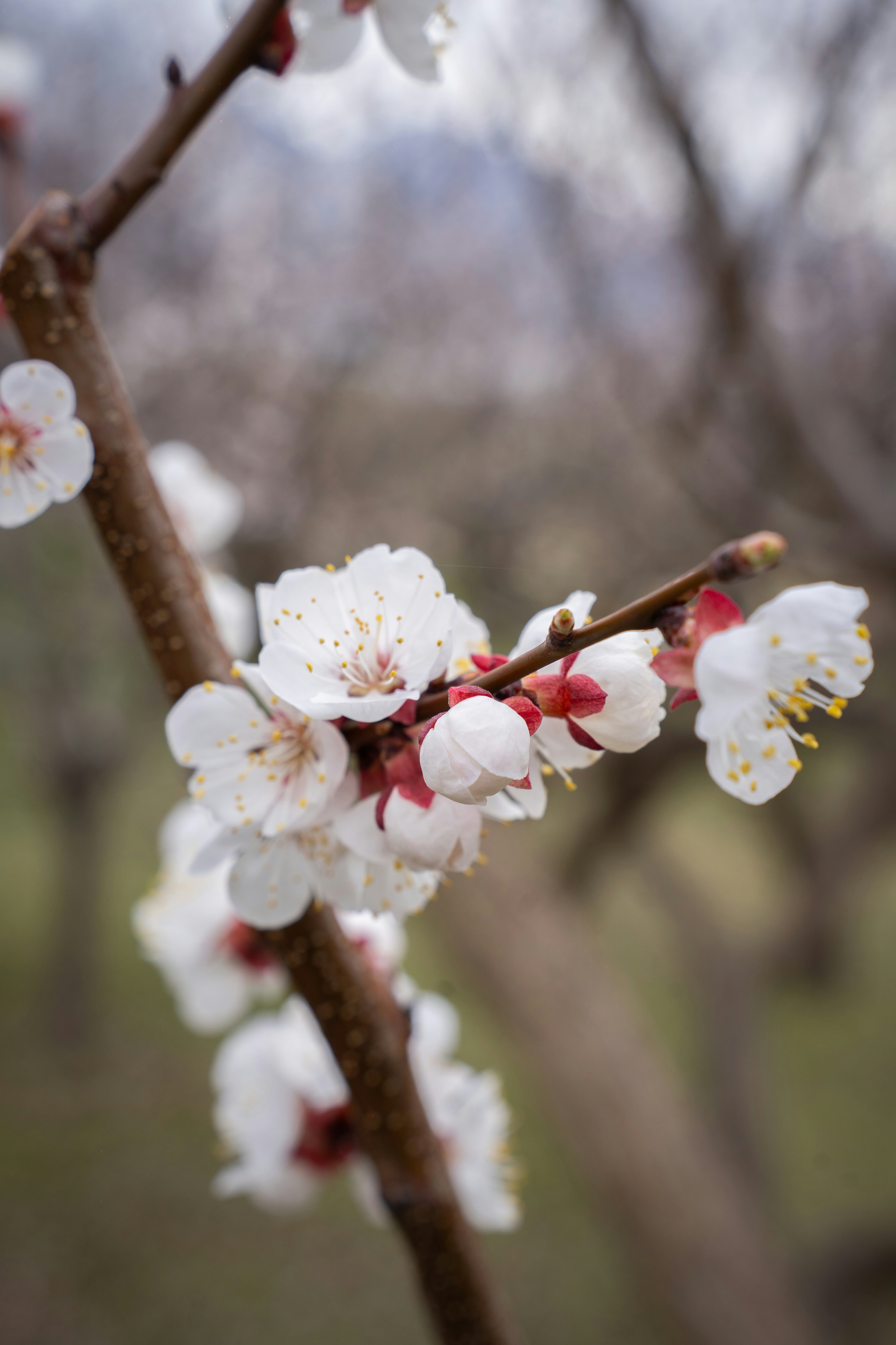 Photo by alexa_filmvibes