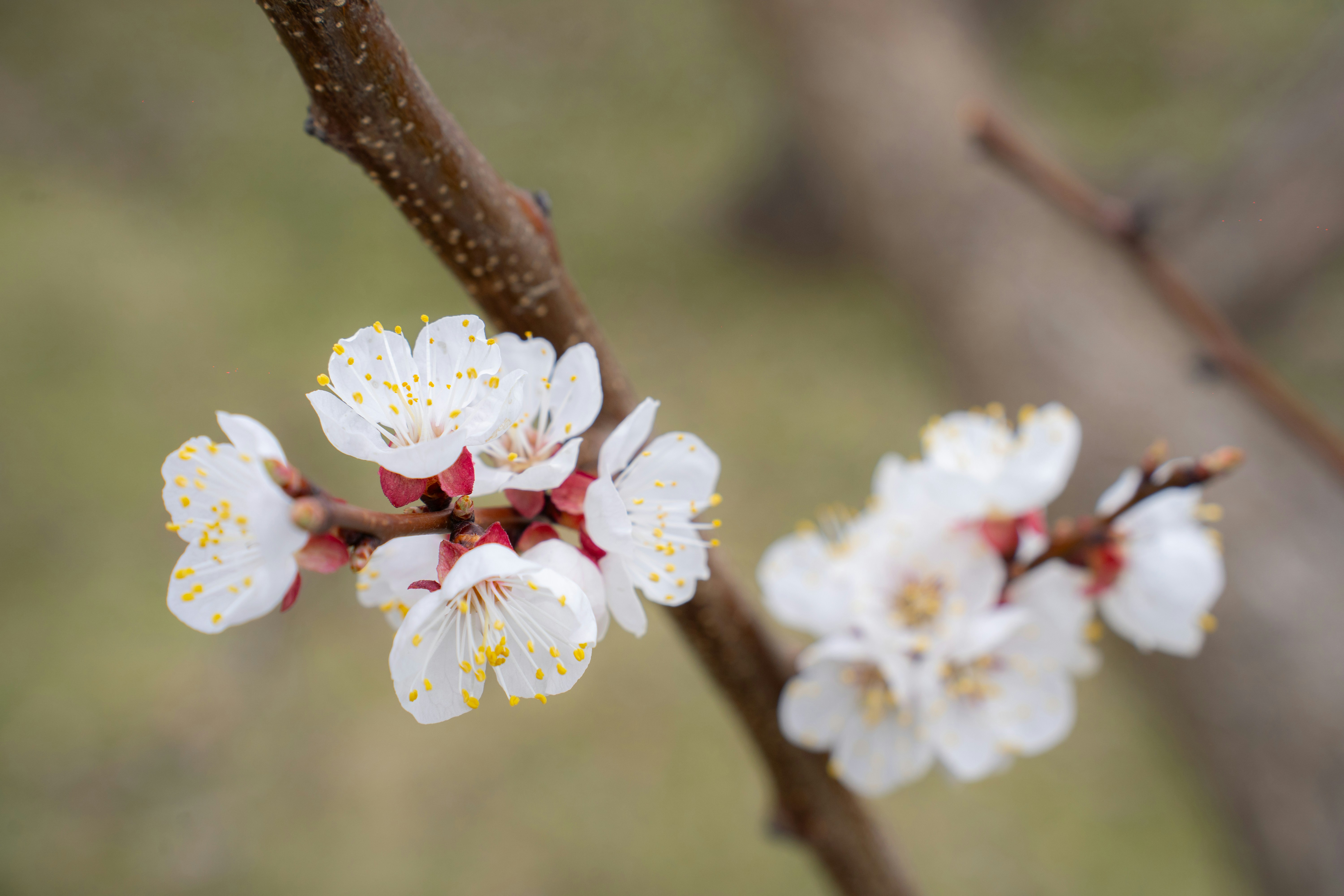 Photo by alexa_filmvibes