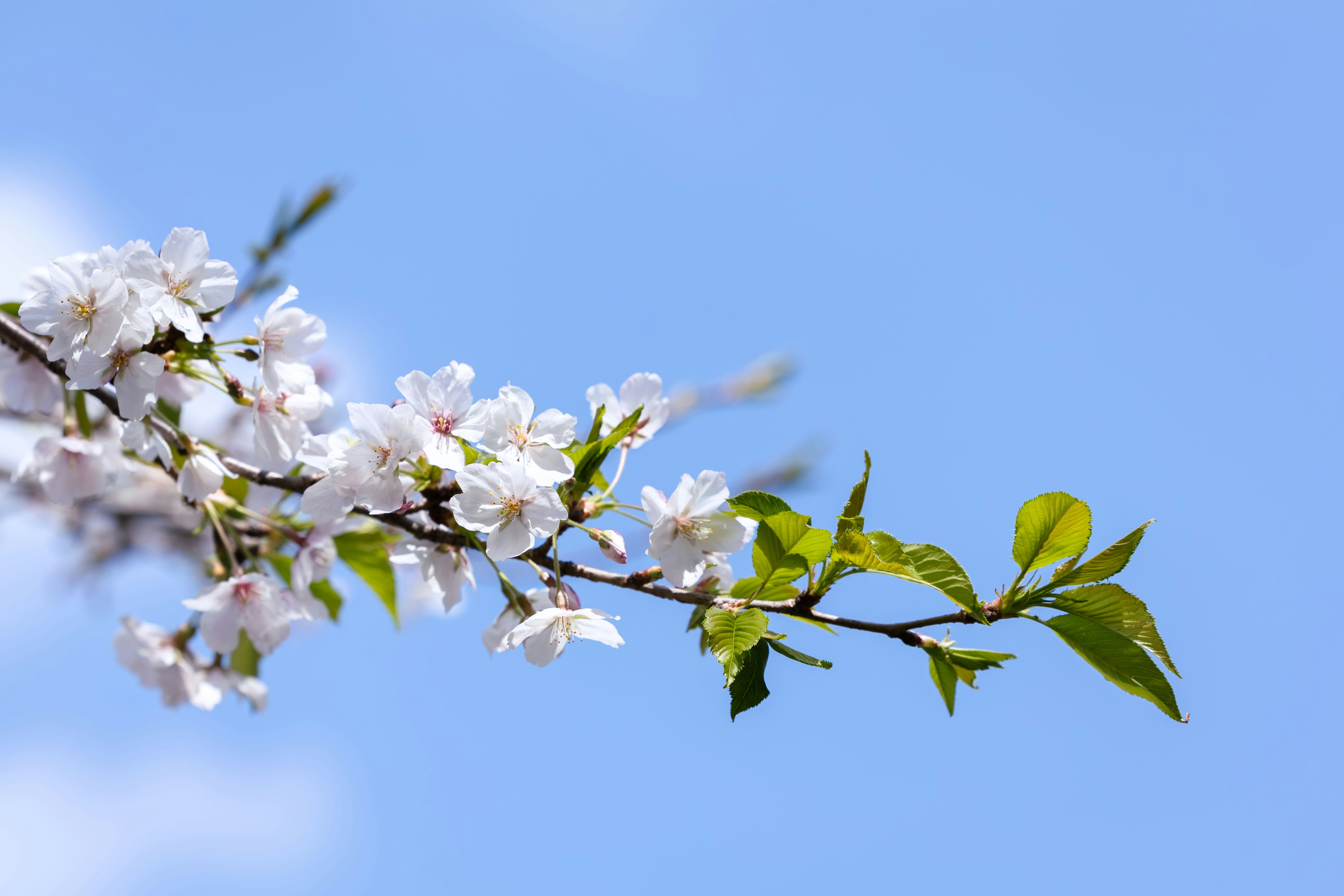 Photo by yangluhan091