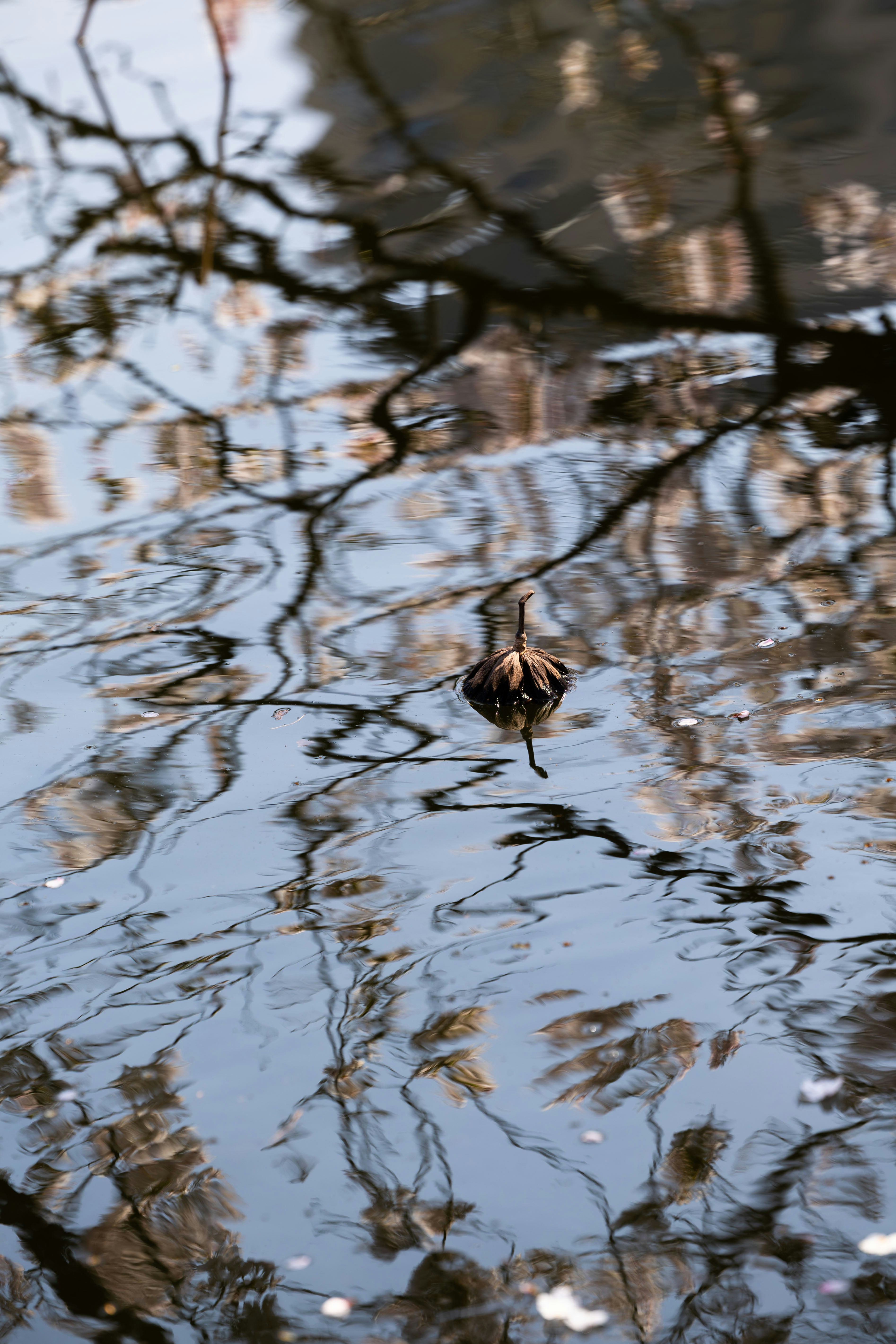 Photo by yangluhan091