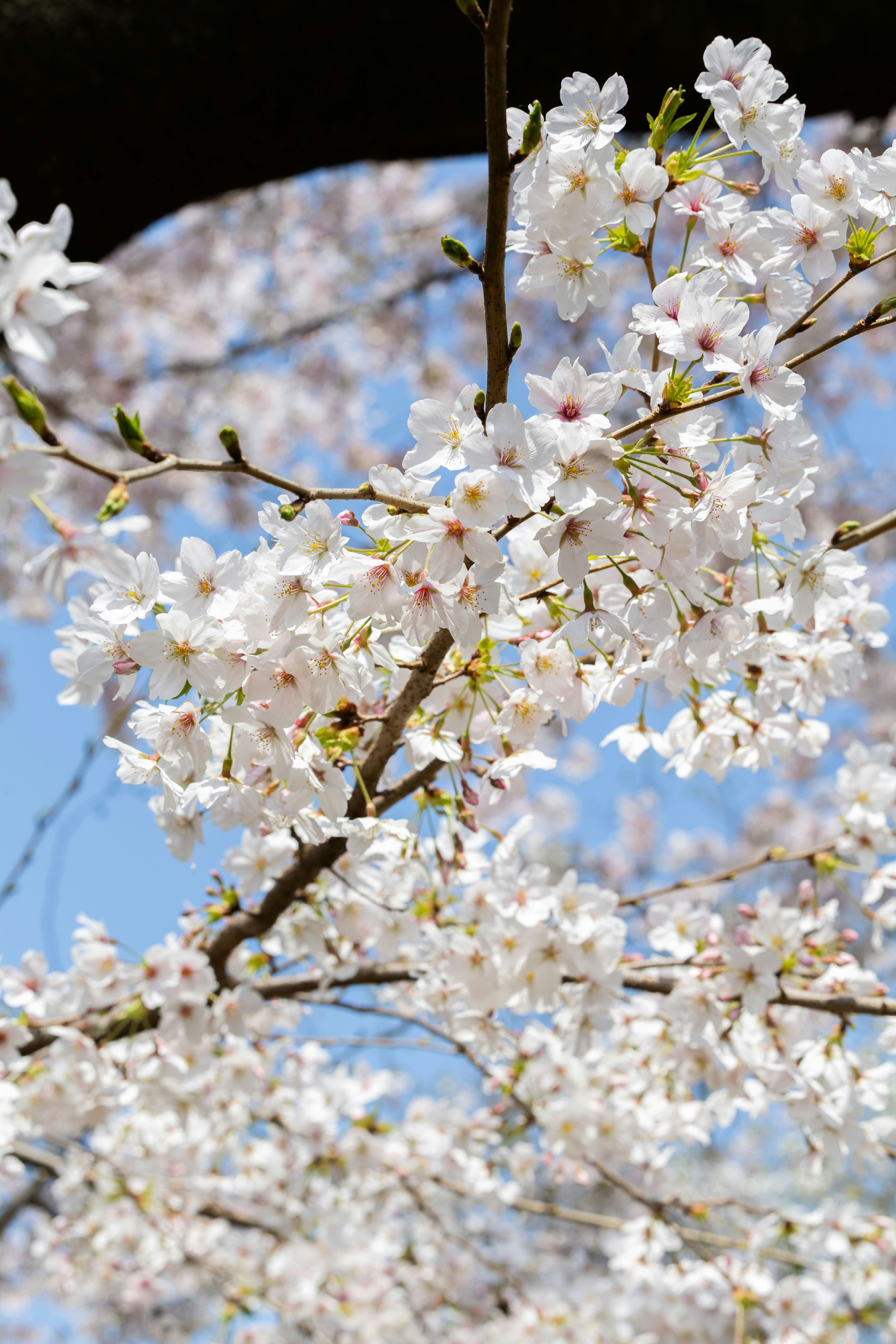 Photo by yangluhan091