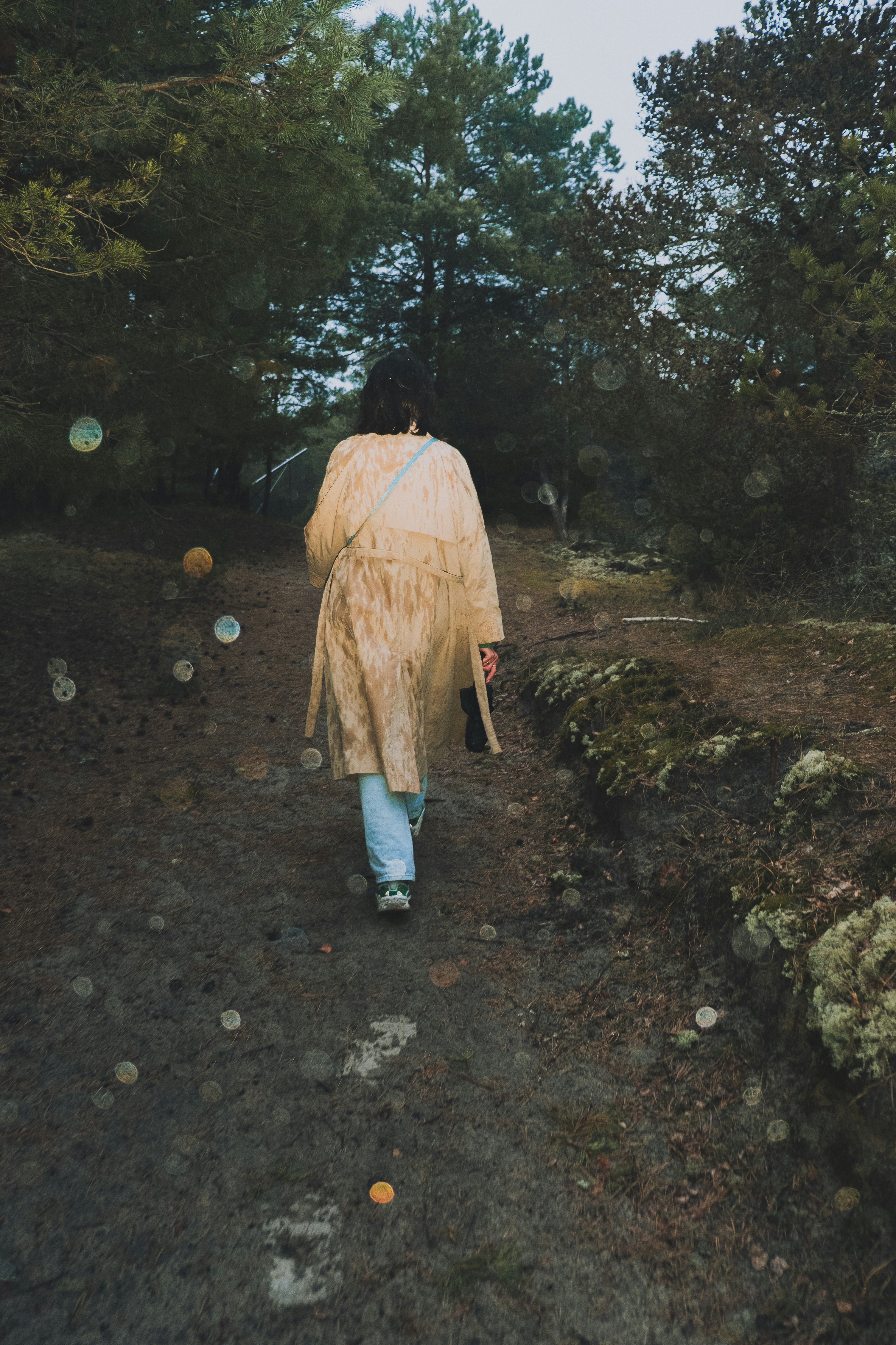 Person walking on a forest path
