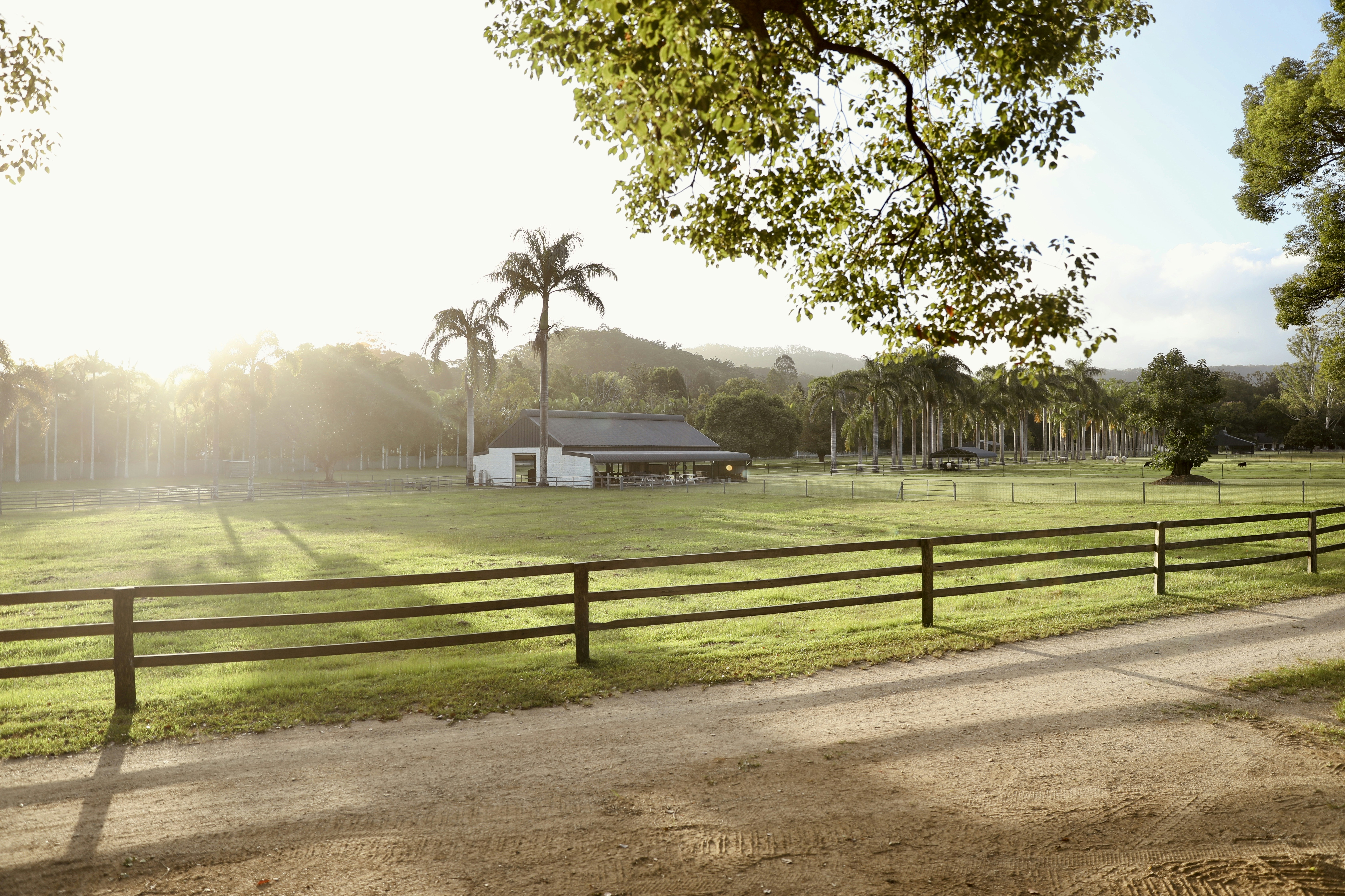 Photo by childofwonder