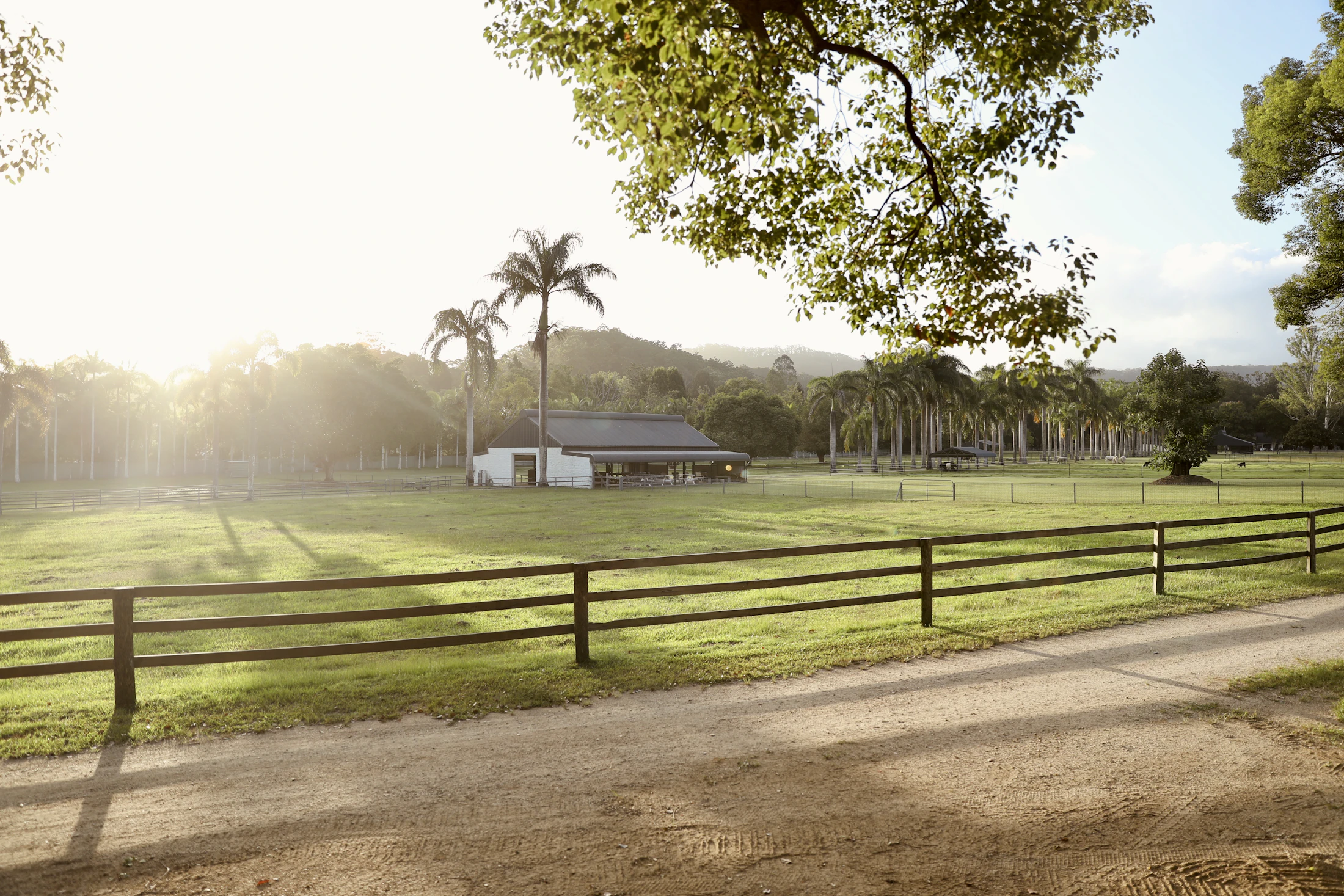 A timber post-and-rail fence along a paddock in warm morning light.