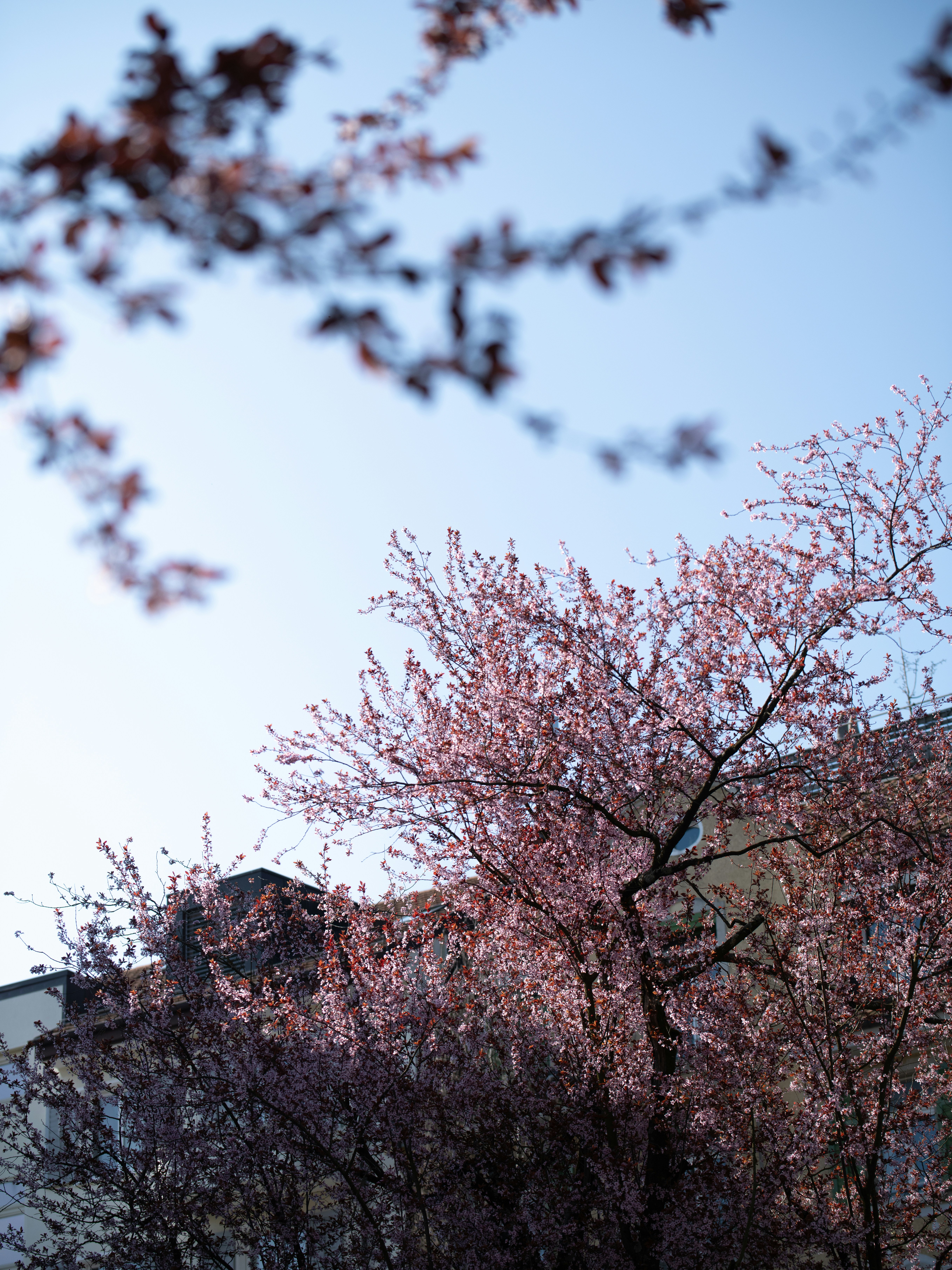 Photo by mrtkmts