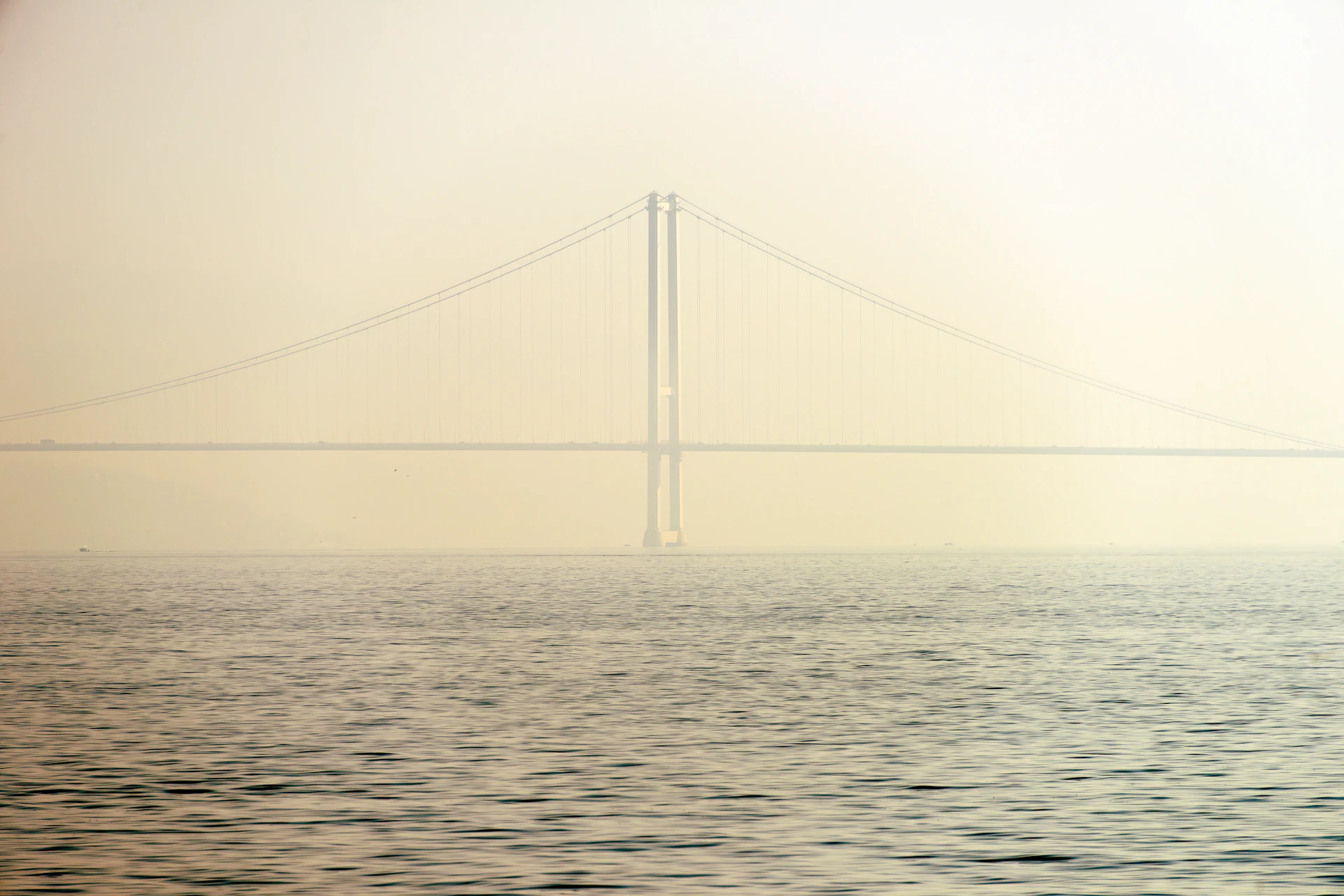 Suspension bridge over calm water in fog