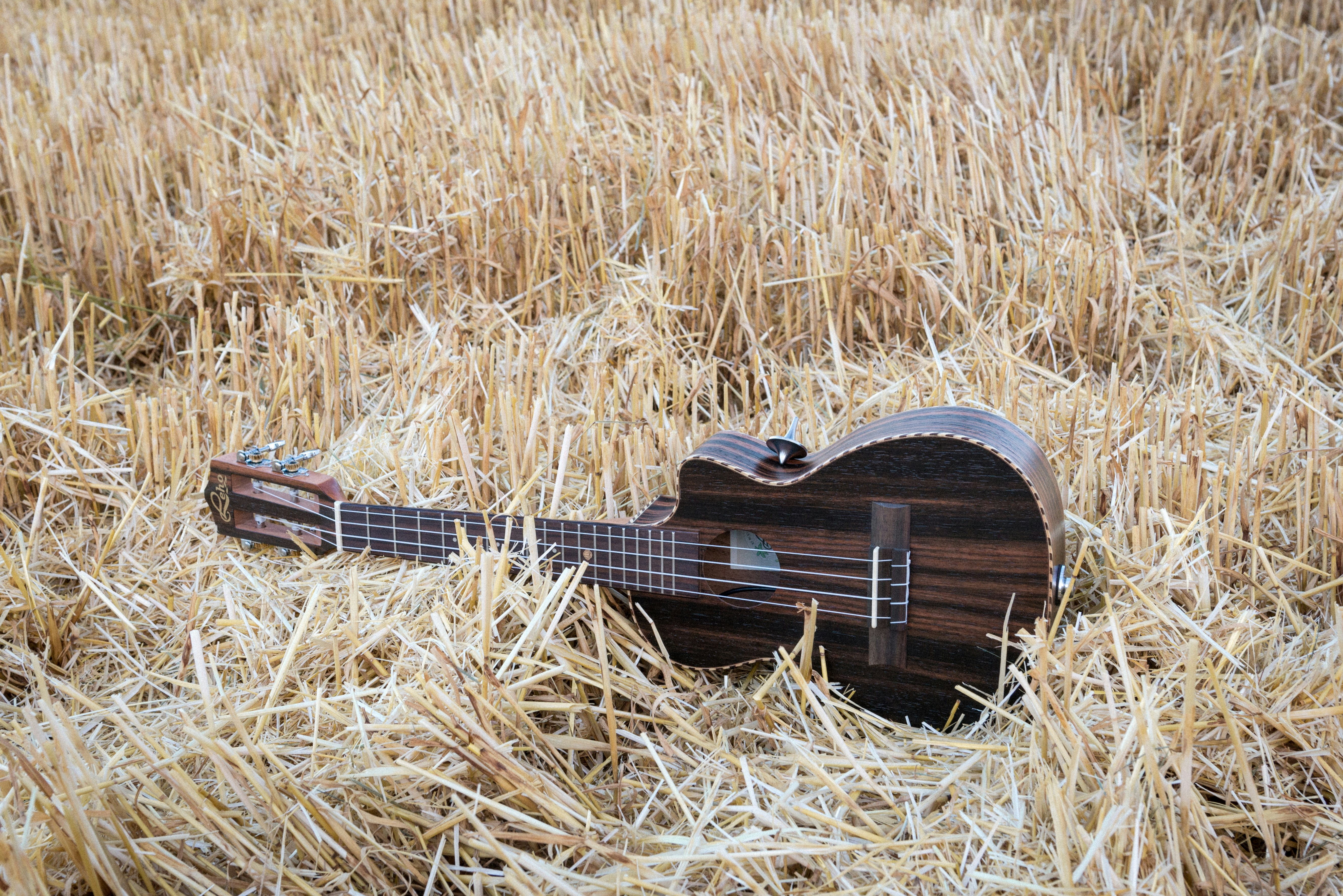 Guitare acoustique reposant dans de l’herbe sèche