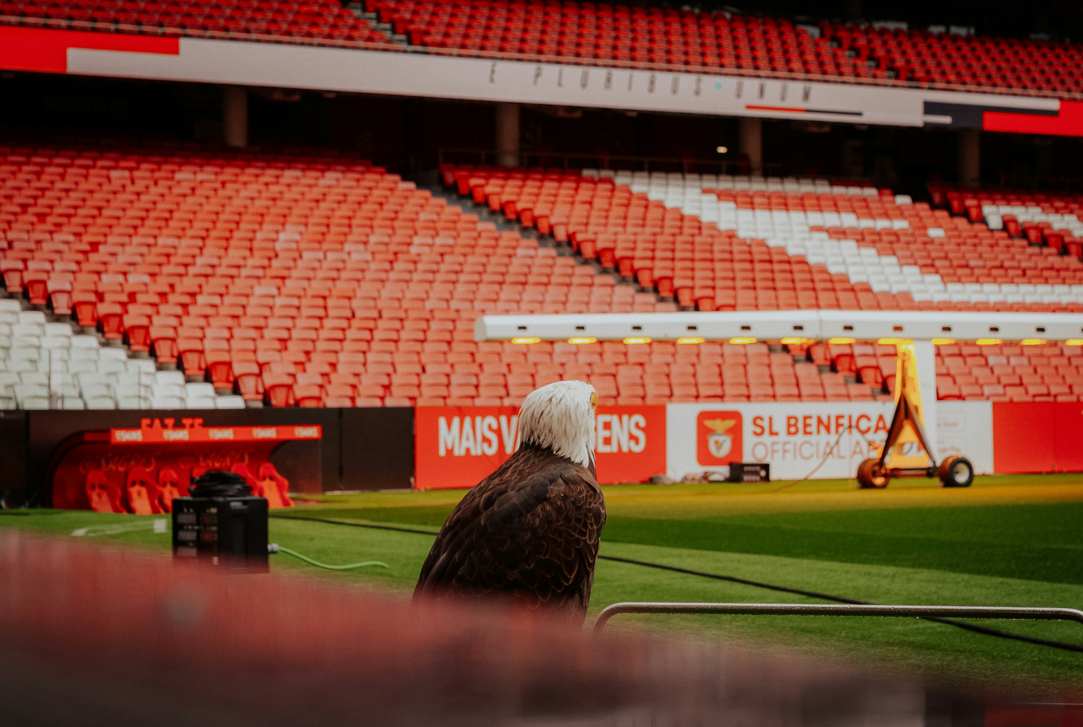 体育场景配图（资料示意）