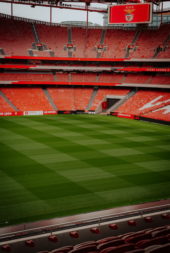 Football pitch with green grass and stadium