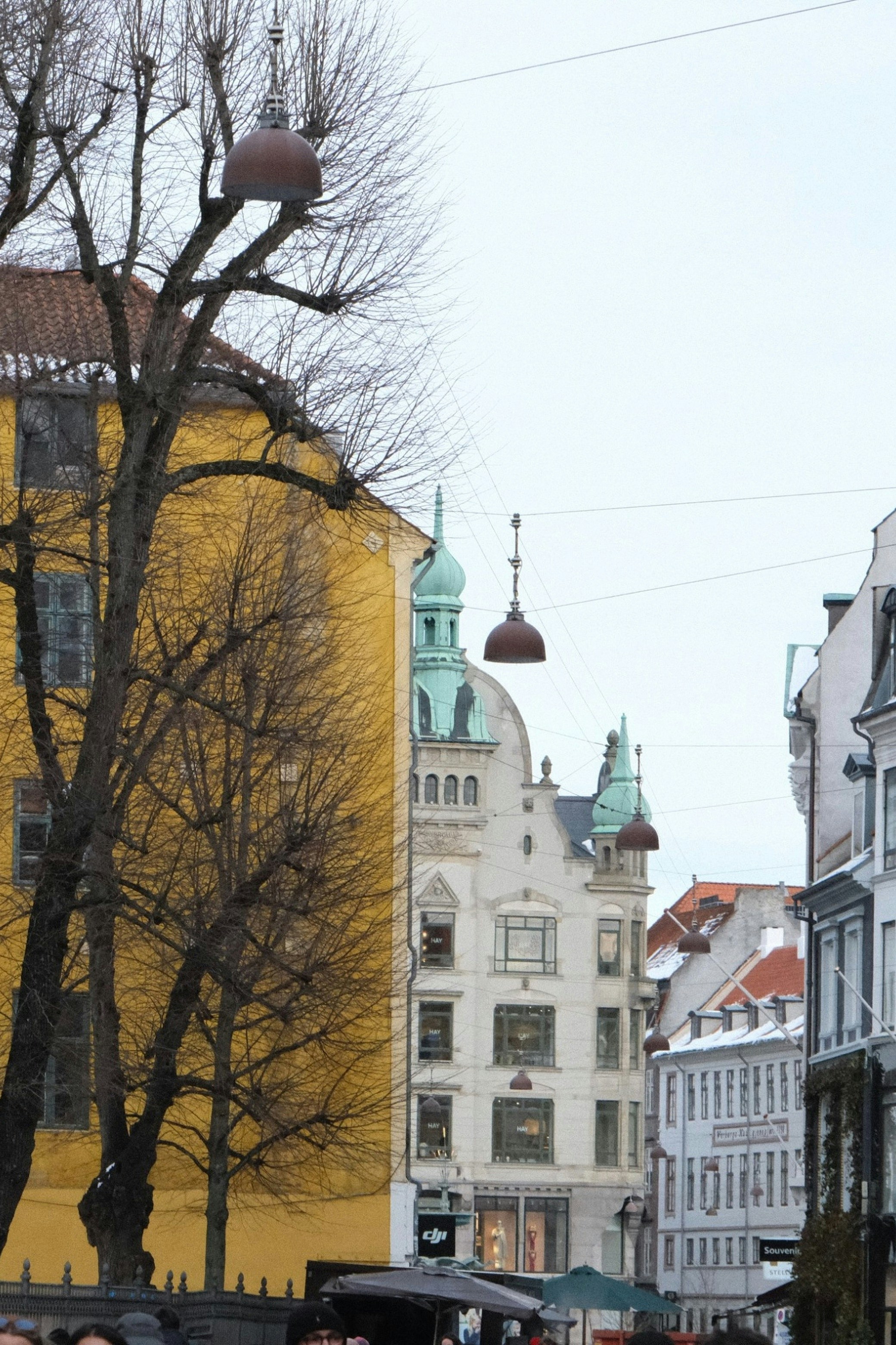 Europäische Stadtstraße mit historischen Gebäuden und kahlen Bäumen.