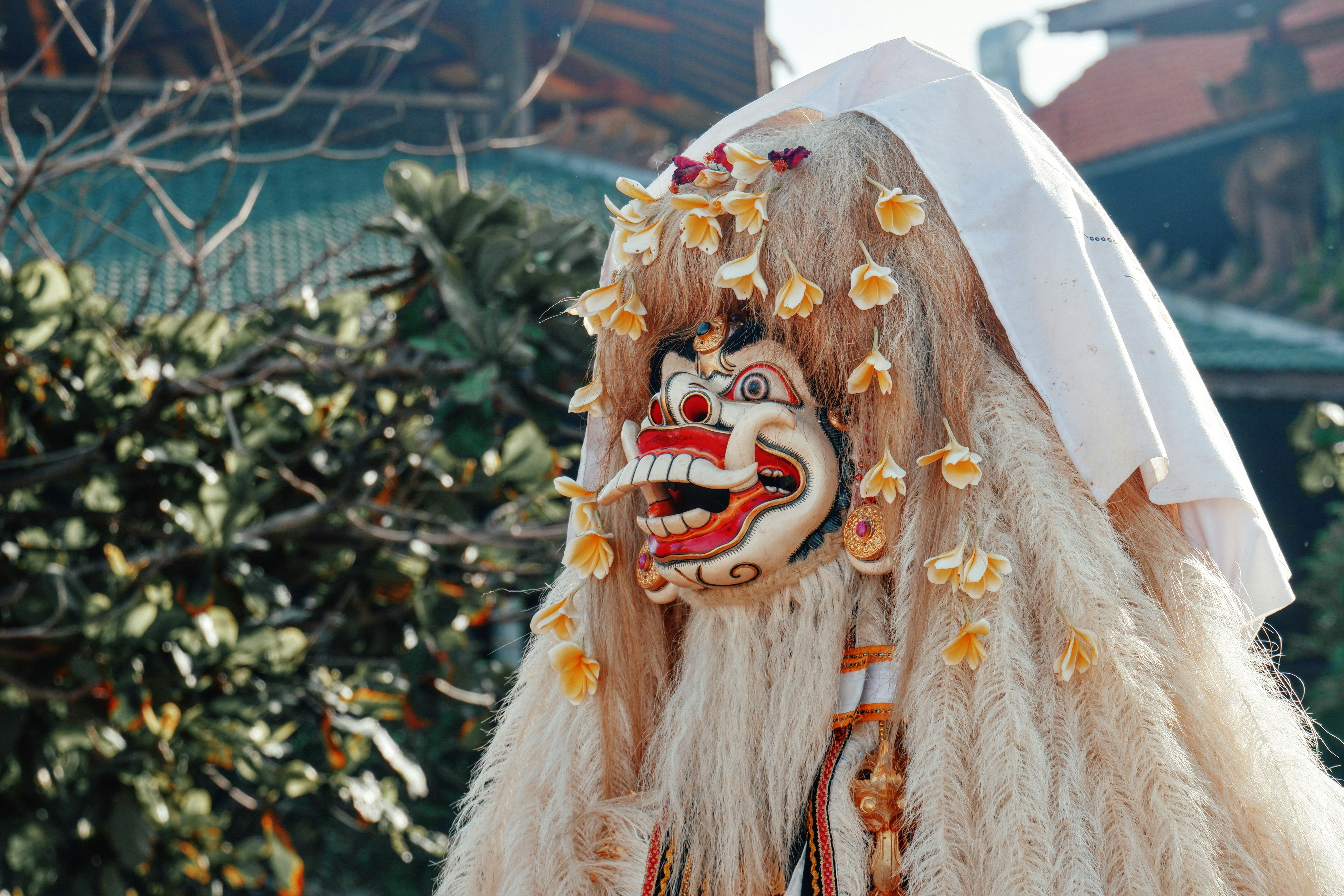 A person in a traditional mask and costume