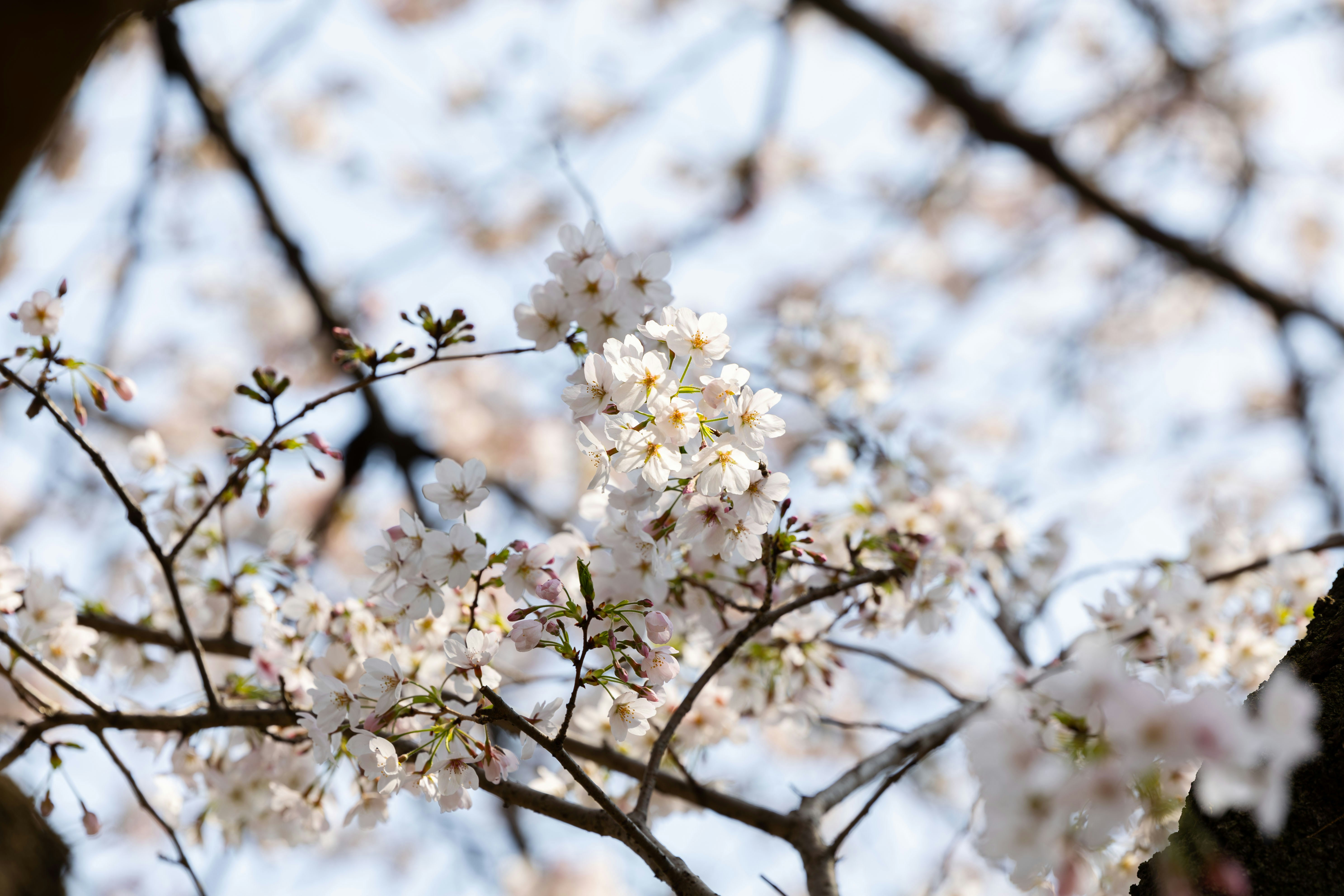 Photo by yangluhan091