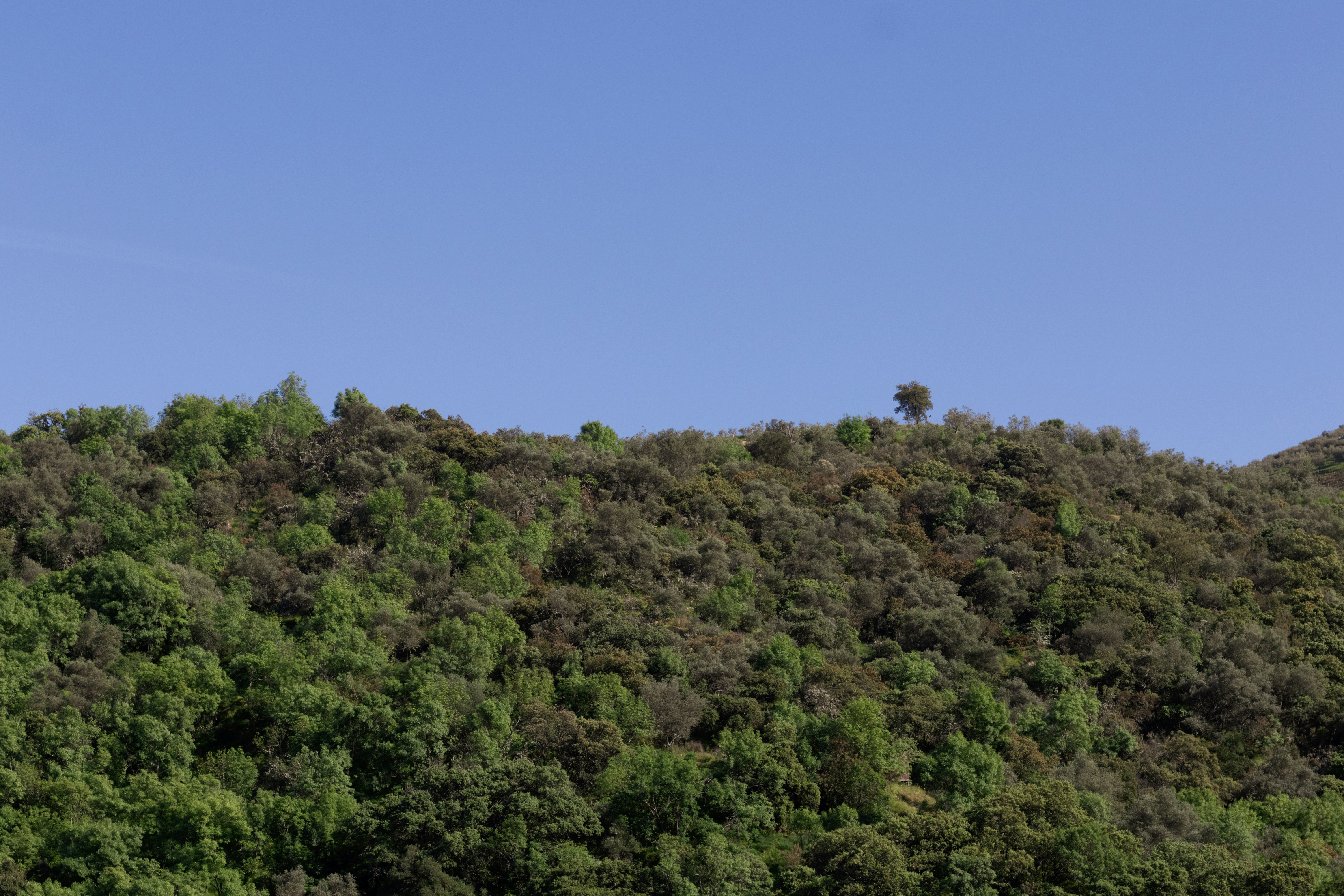 Photo by filipenobre