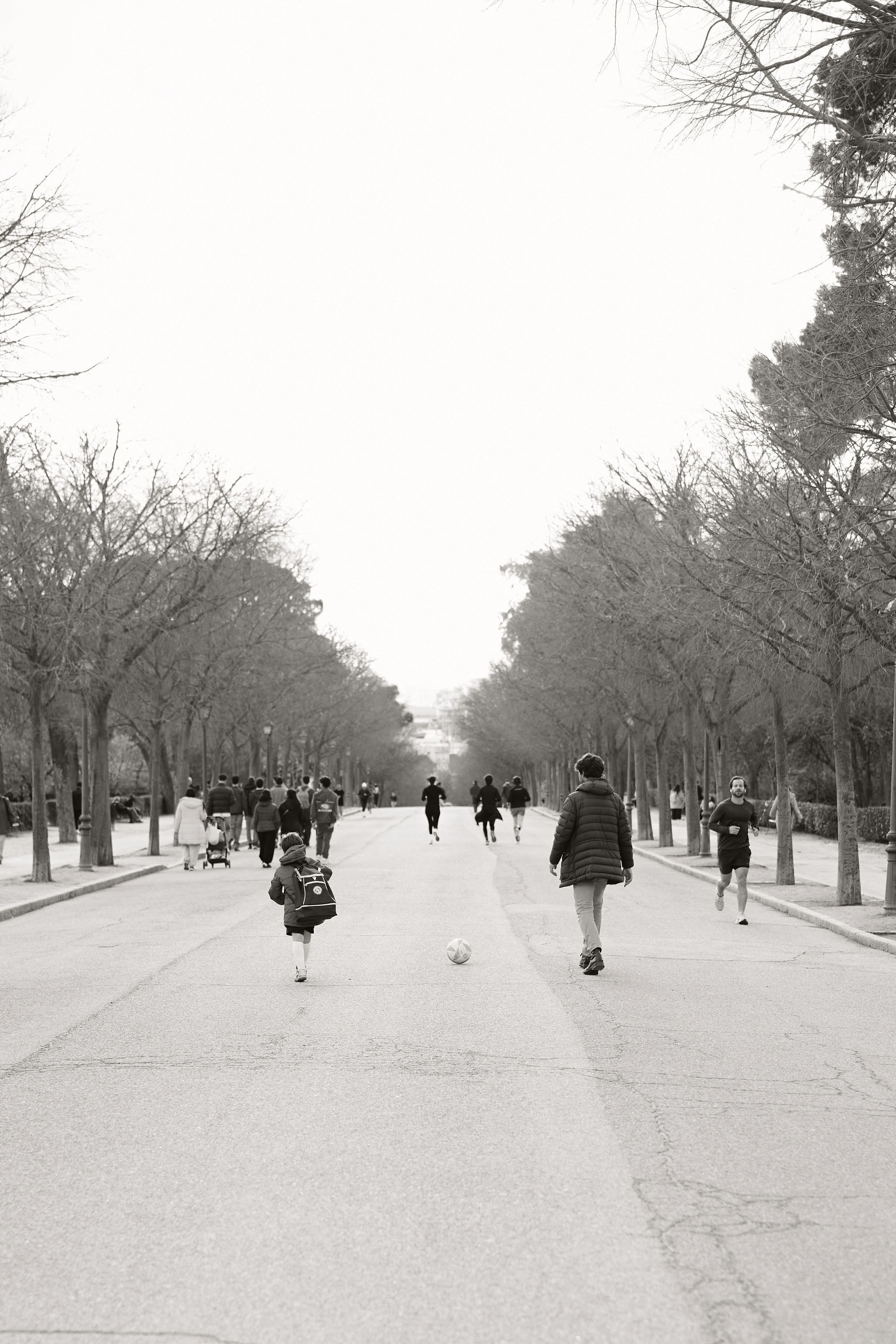 People walking and playing in a park with trees