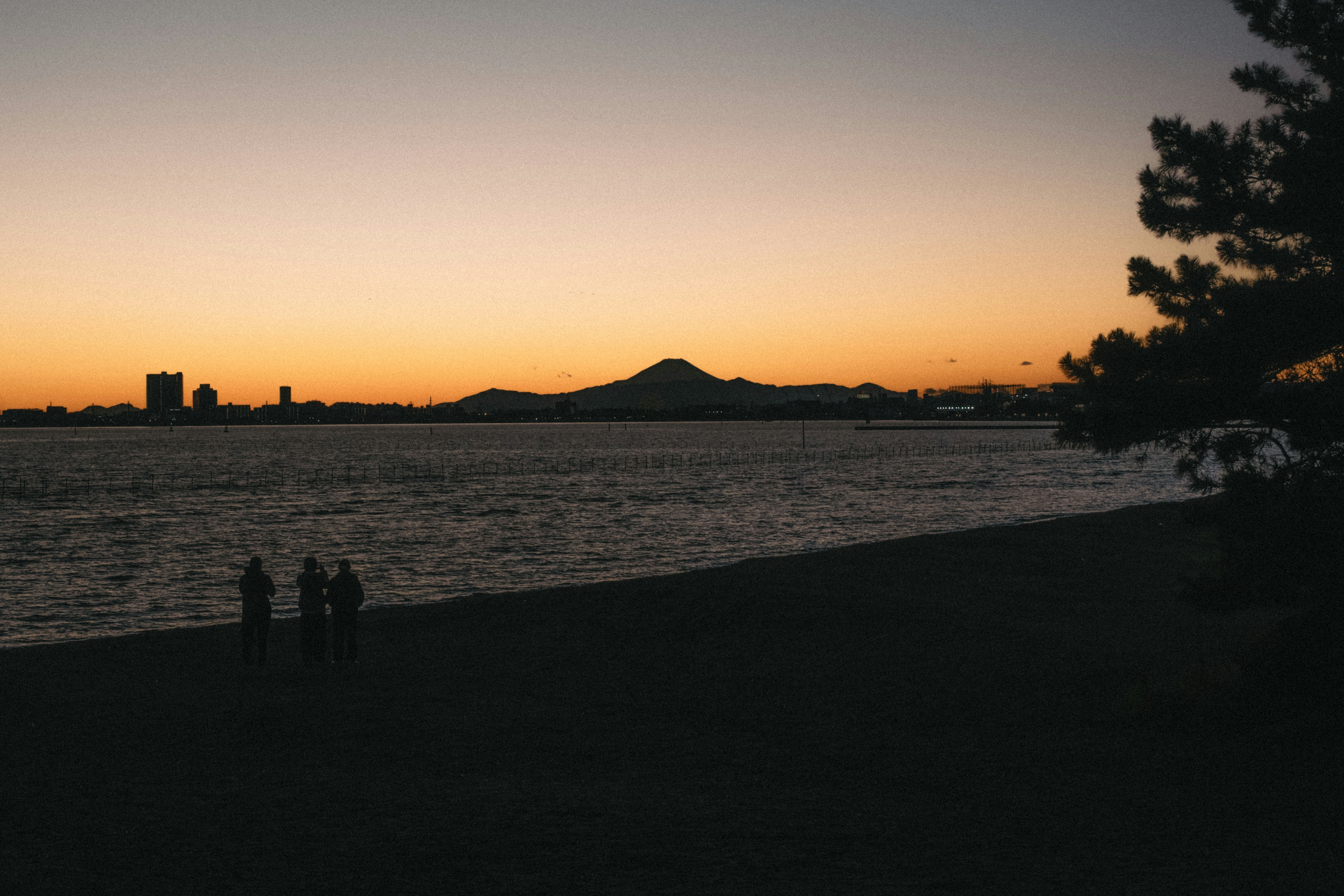 Silhouettes of people on a beach at sunset