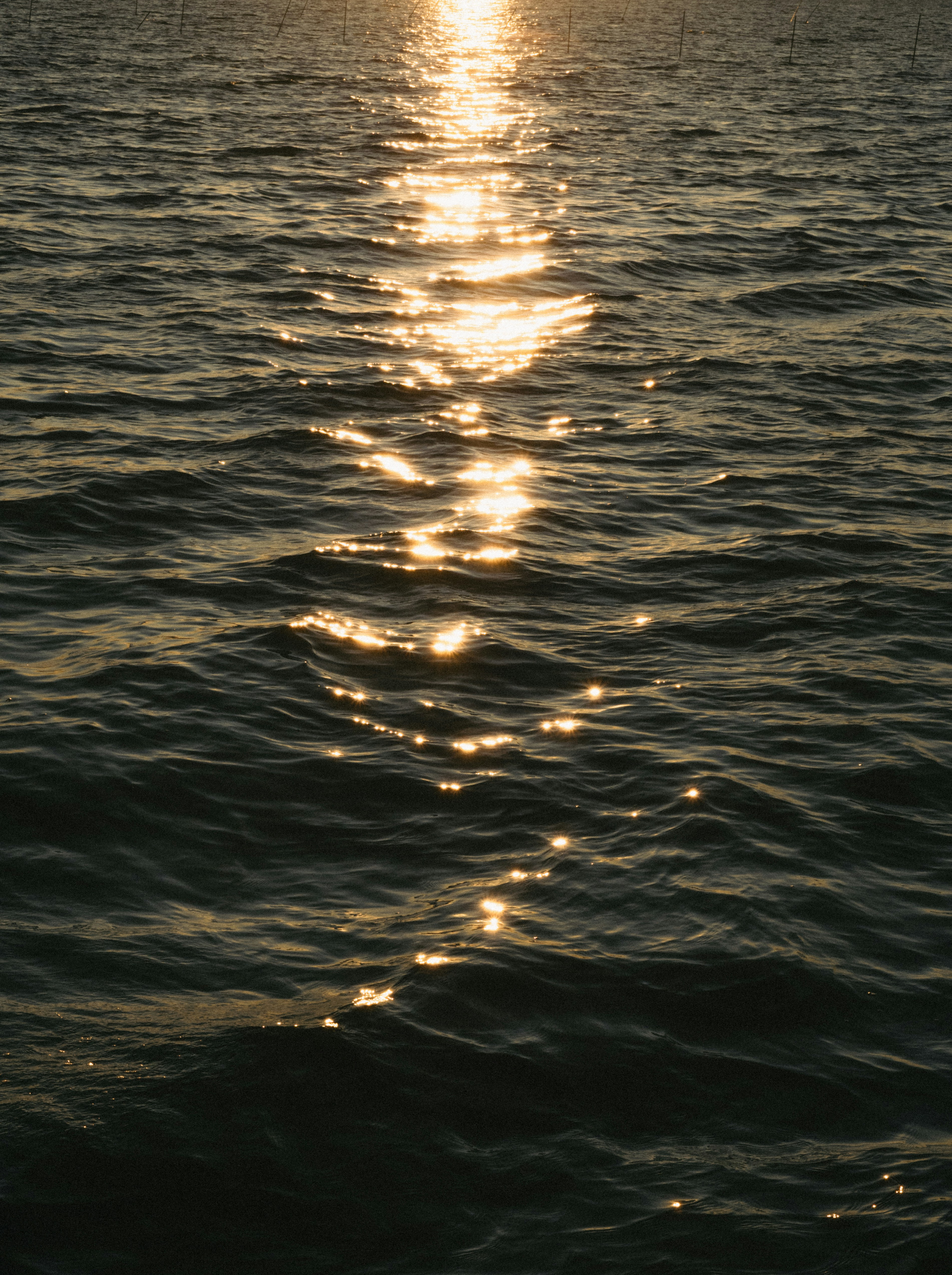 Sunlight glinting on dark, rippling water