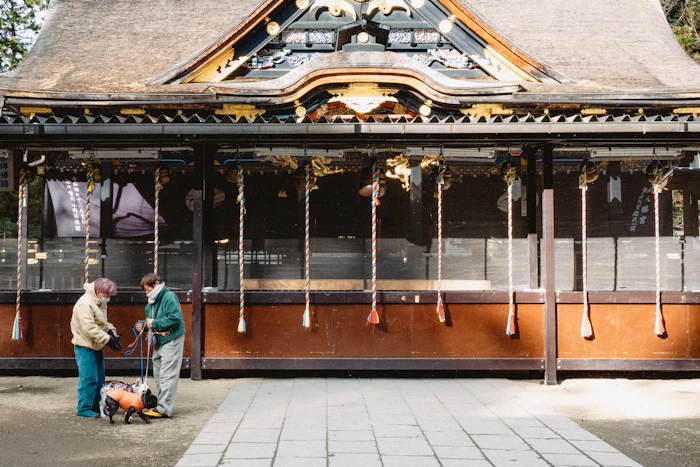 Pet Friendly Cafes