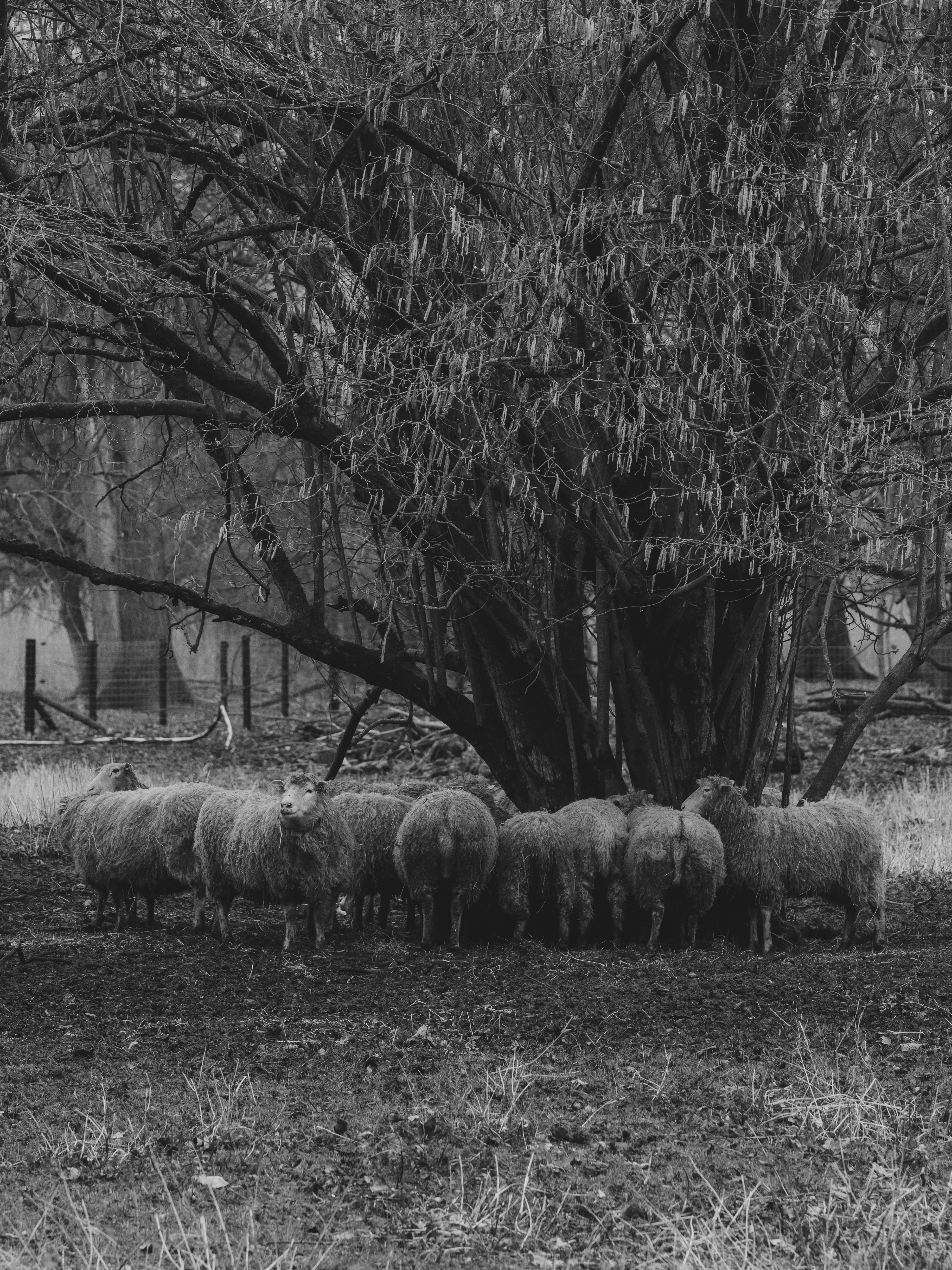 Photo by haberdoedas