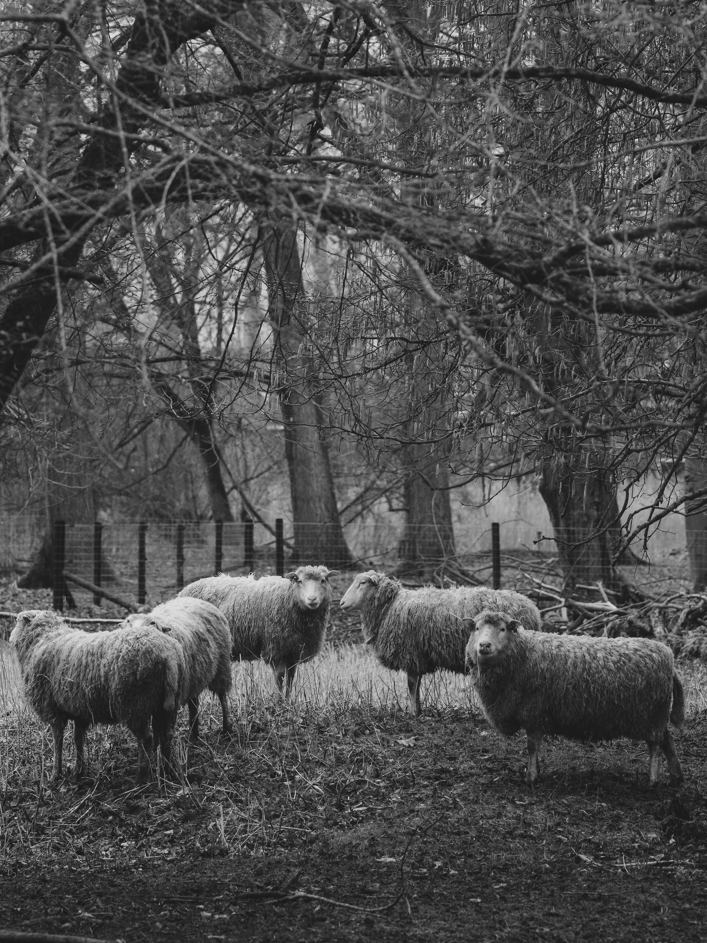 Photo by haberdoedas
