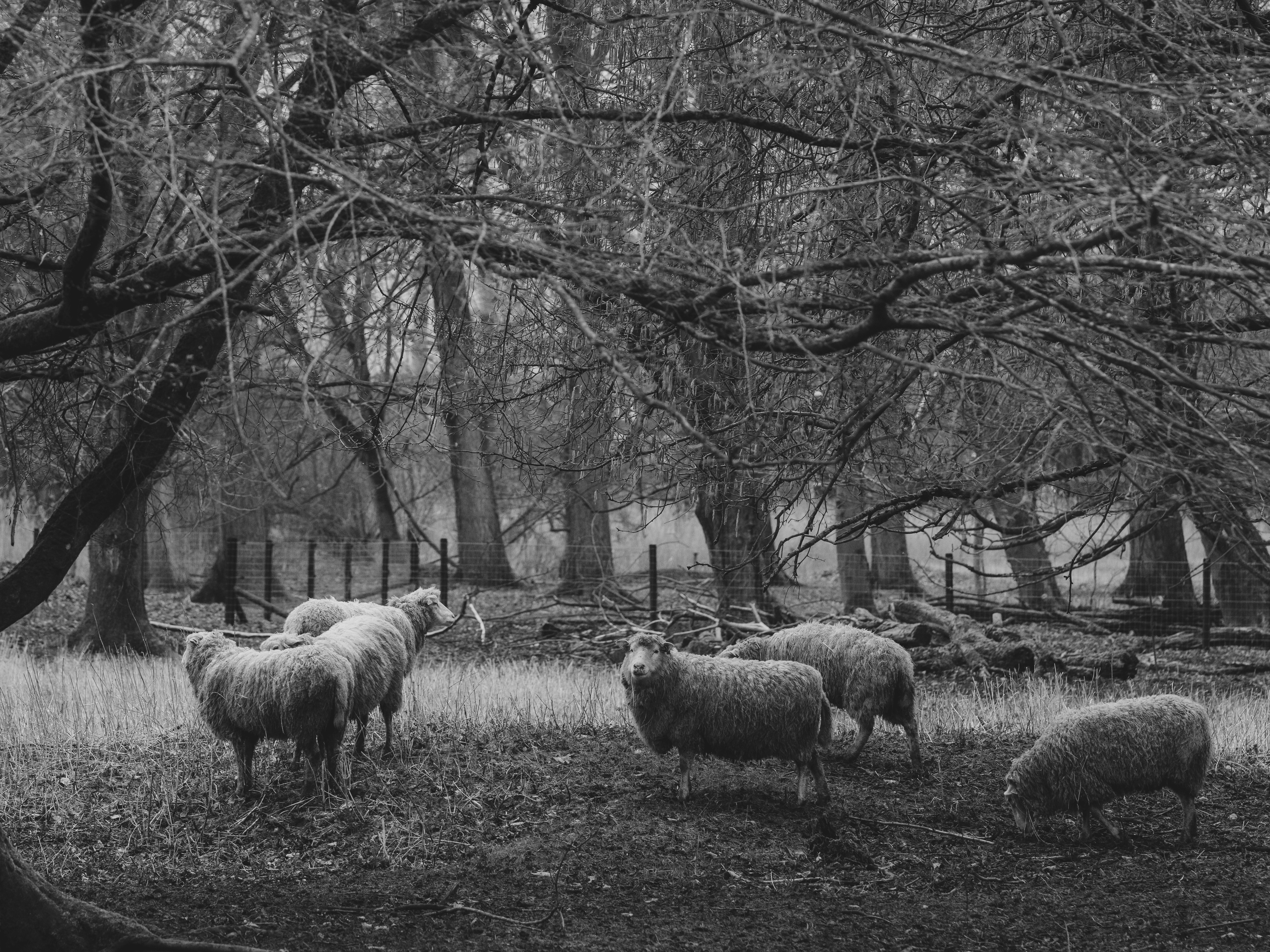 Photo by haberdoedas