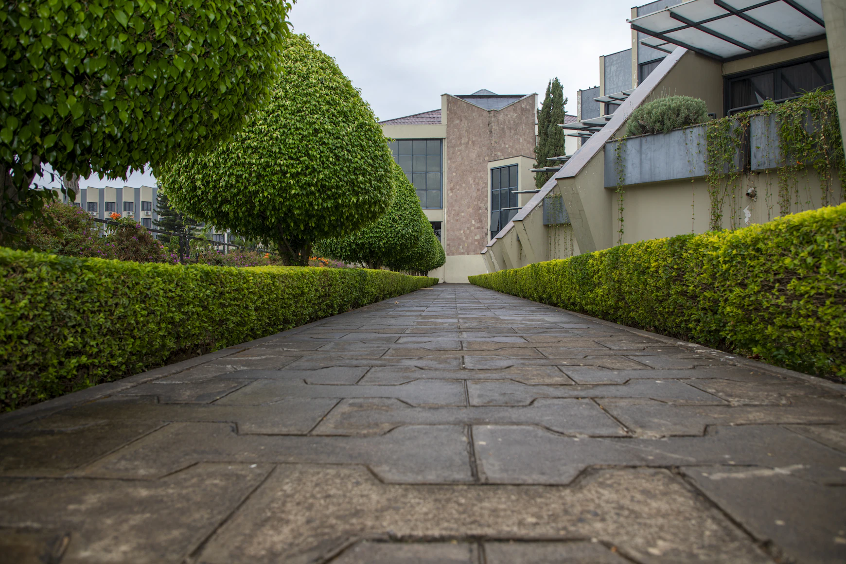 A well-maintained garden path
    leading to a bungalow entrance
