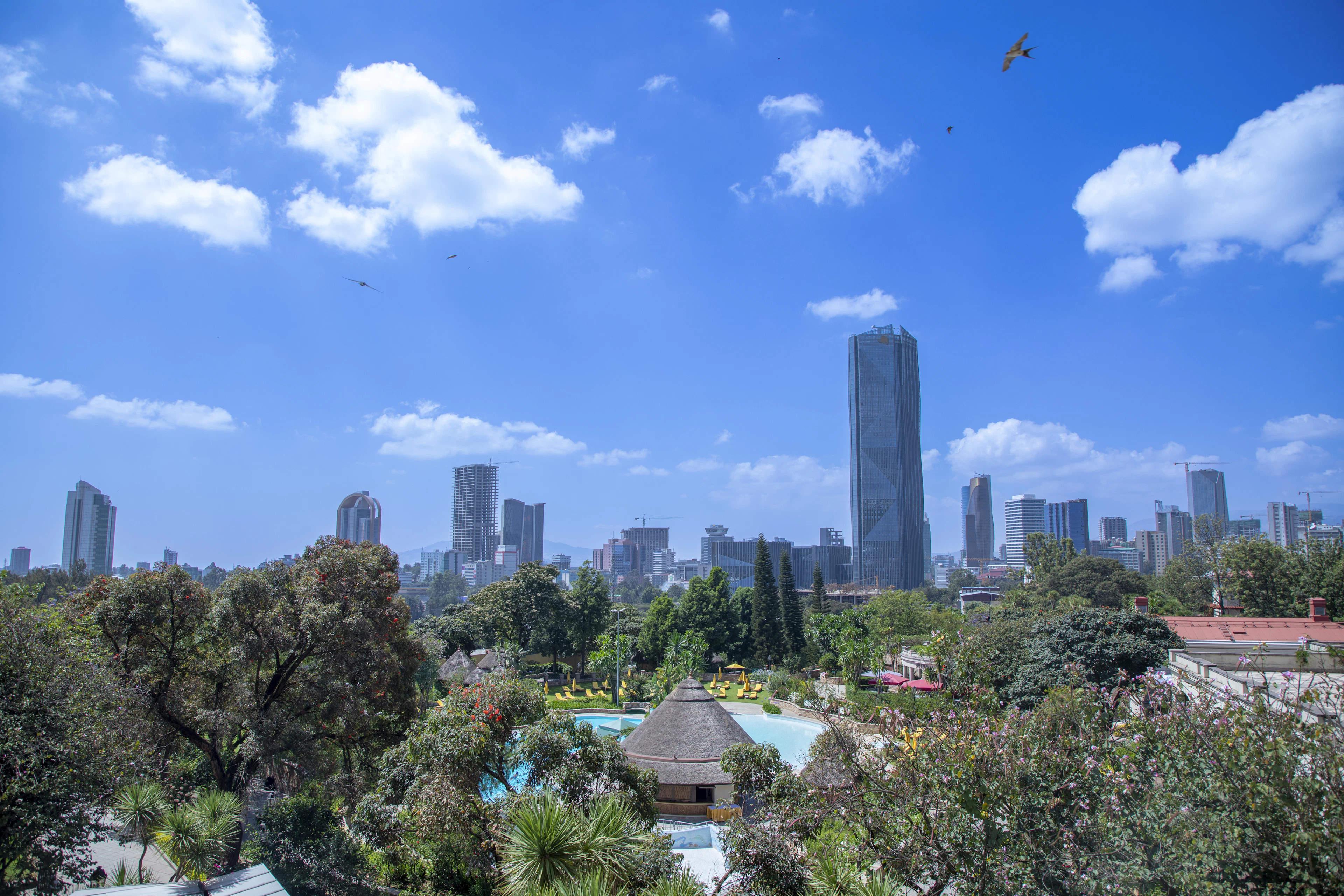 Street and apartment buildings in Addis Ababa