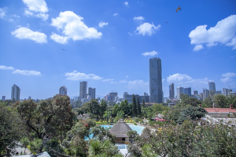 City skyline framed by green trees and blue sky