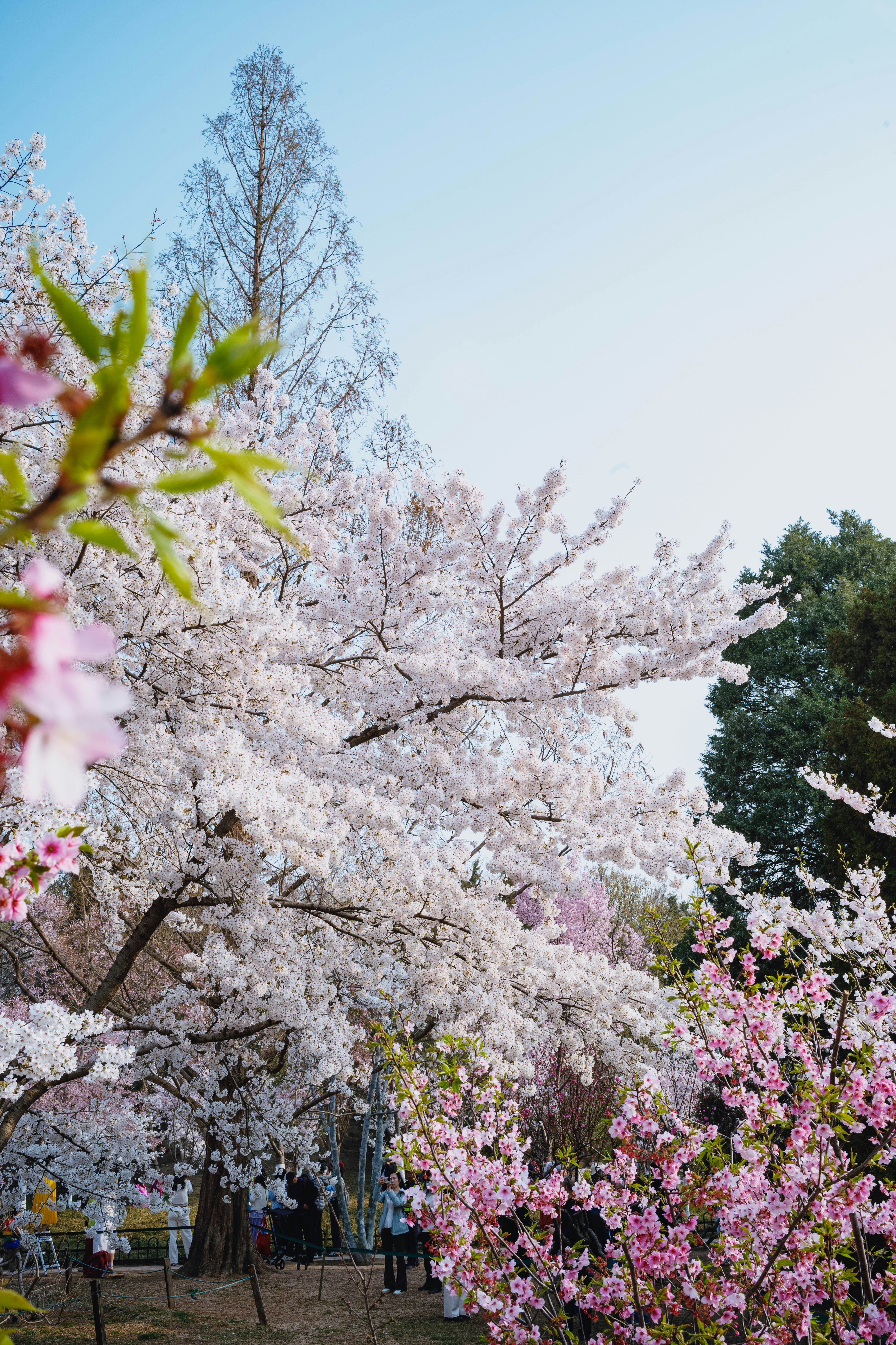 Photo by tommaomaoer