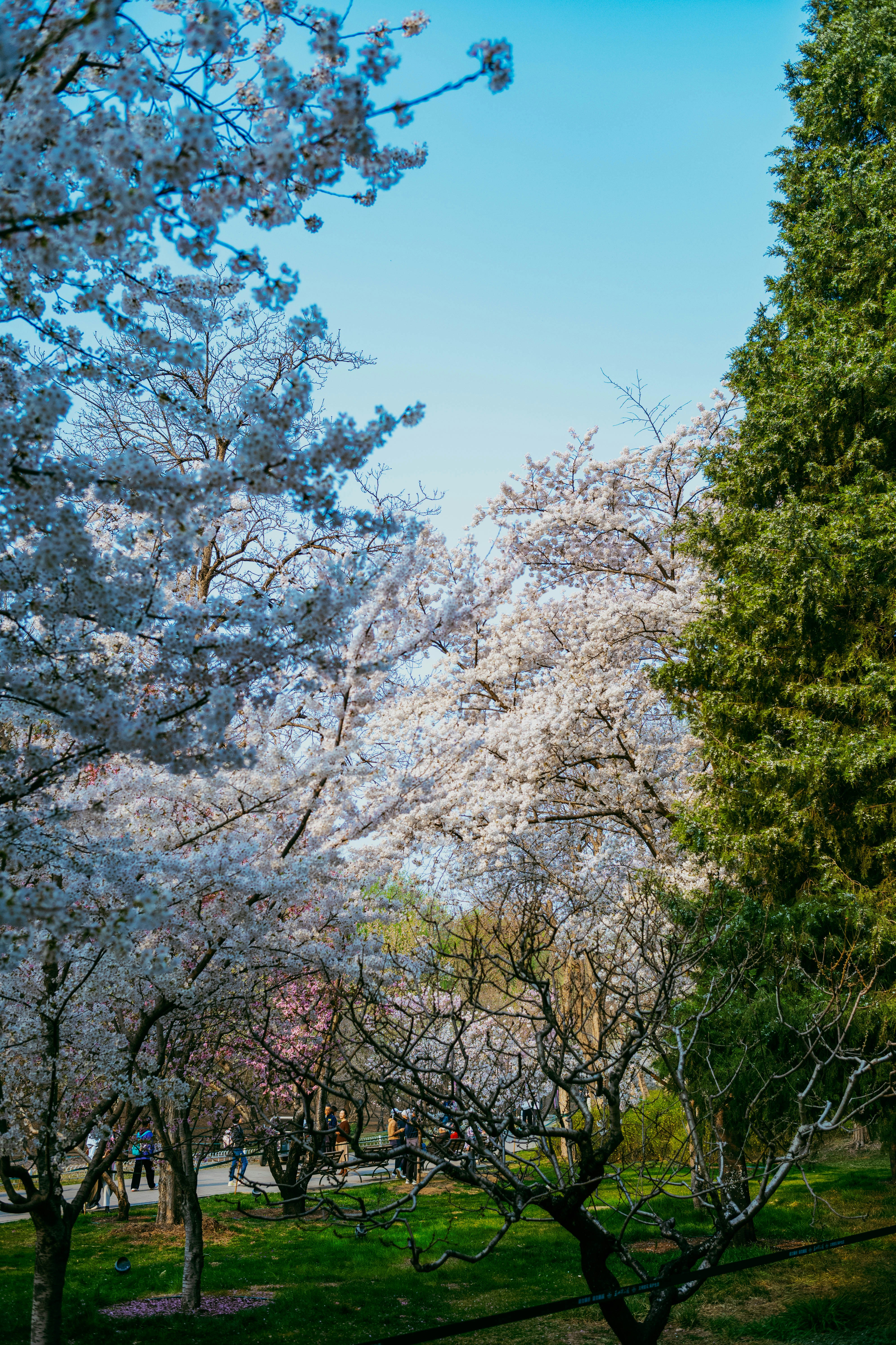 Photo by tommaomaoer
