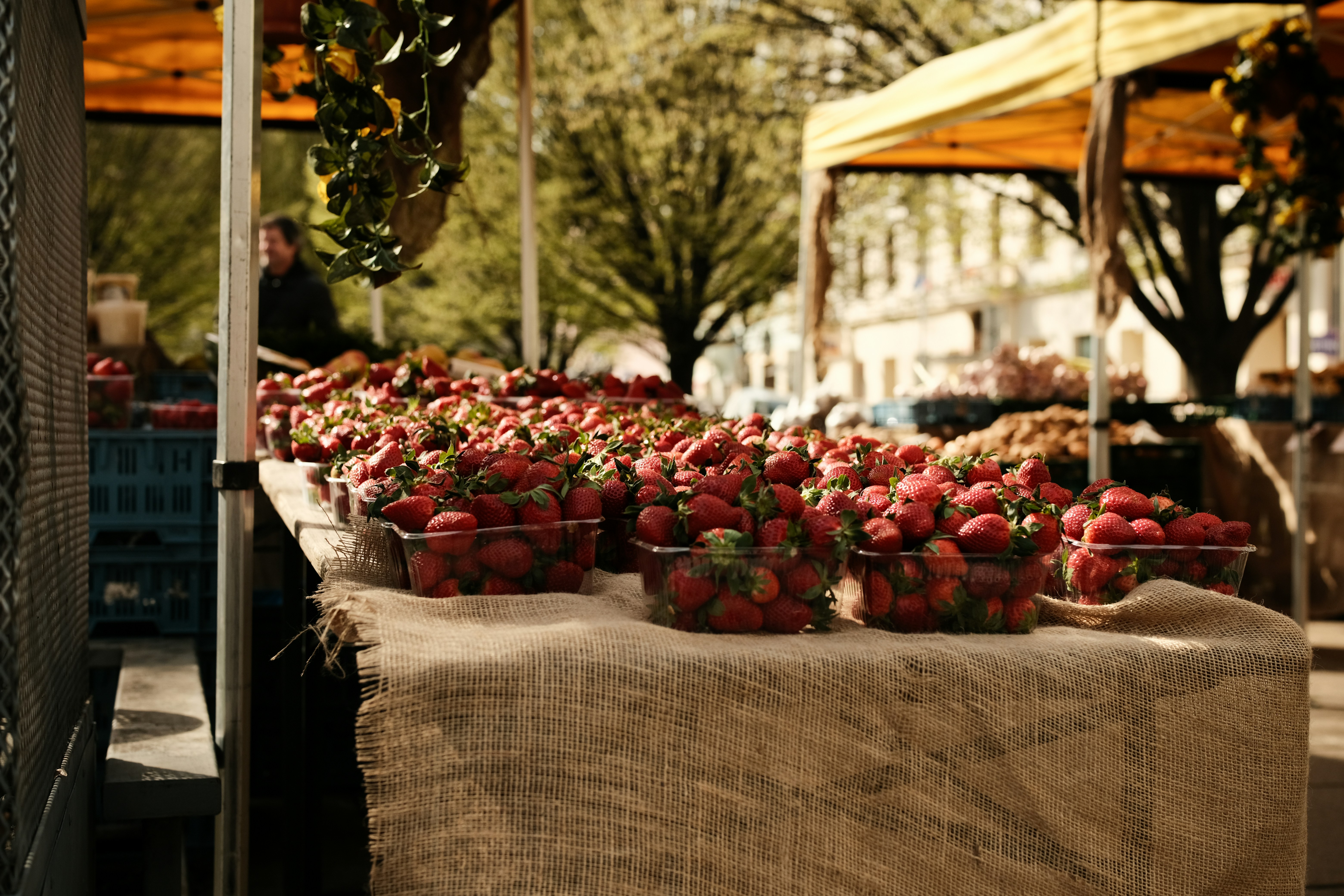 Fresh strawberries displayed at an outdoor market stall.
