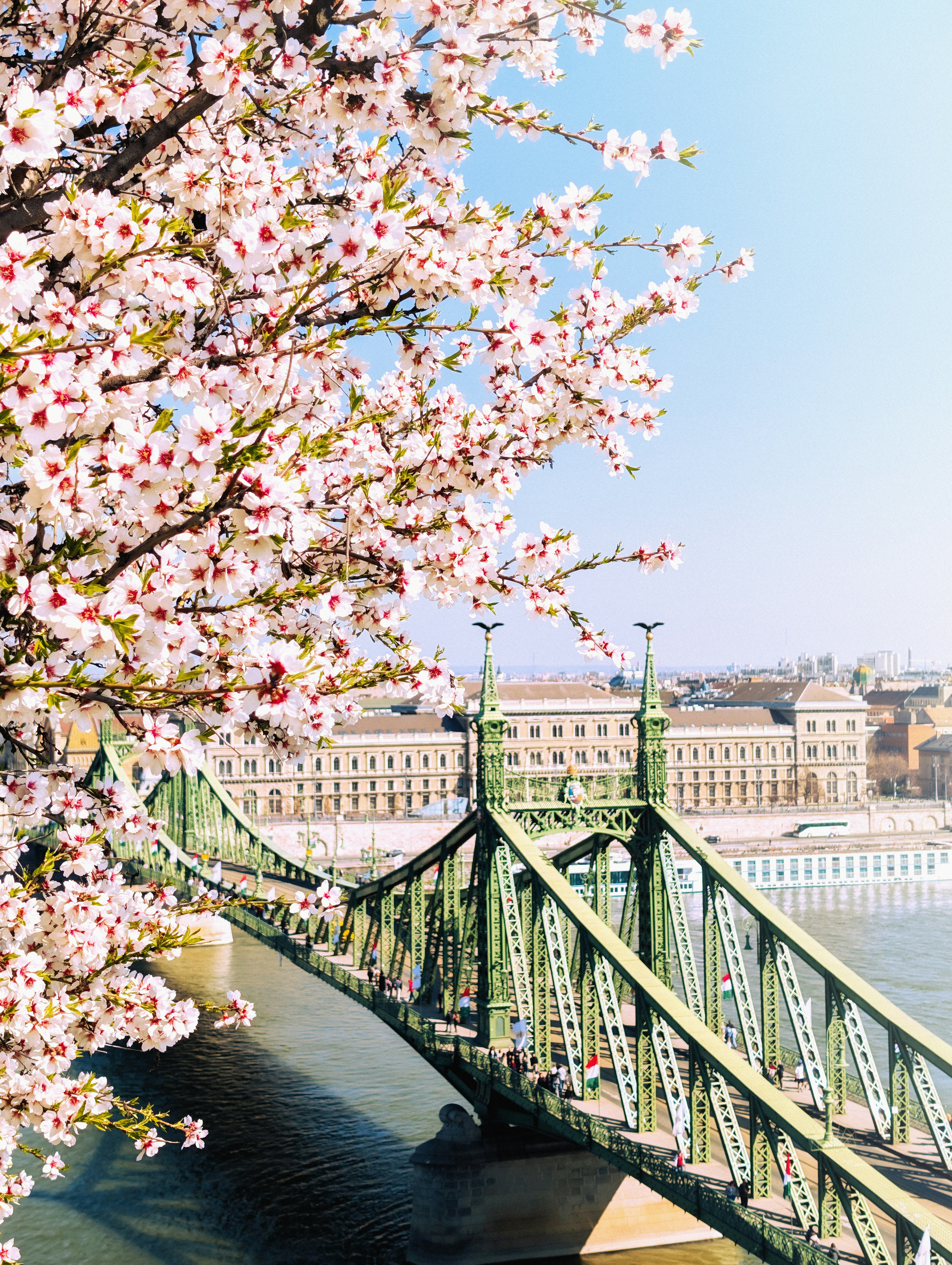 Green bridge over river with blooming trees in foreground