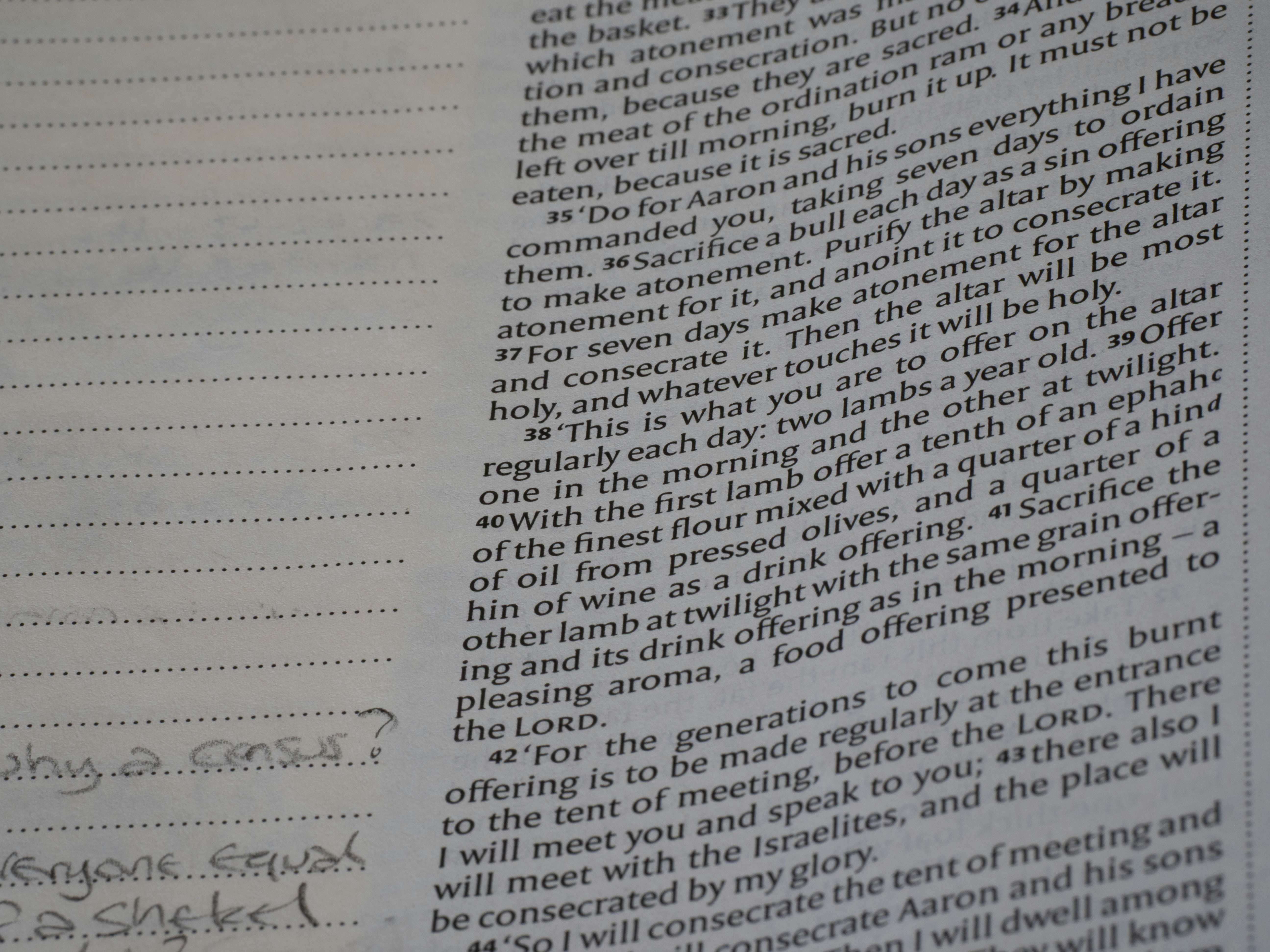 강민철 현강 신청 site orbi.kr