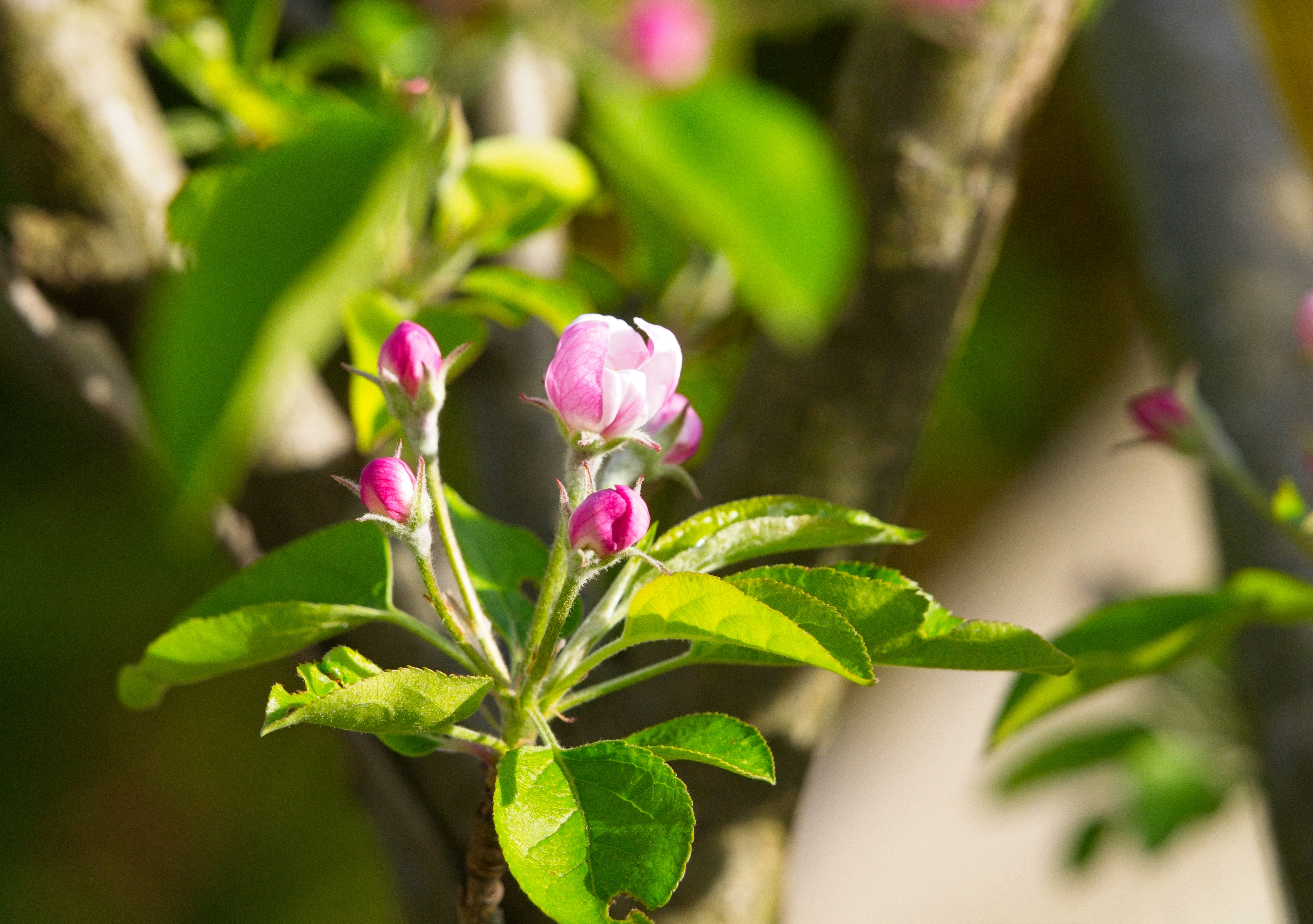 Photo by georgeiermann