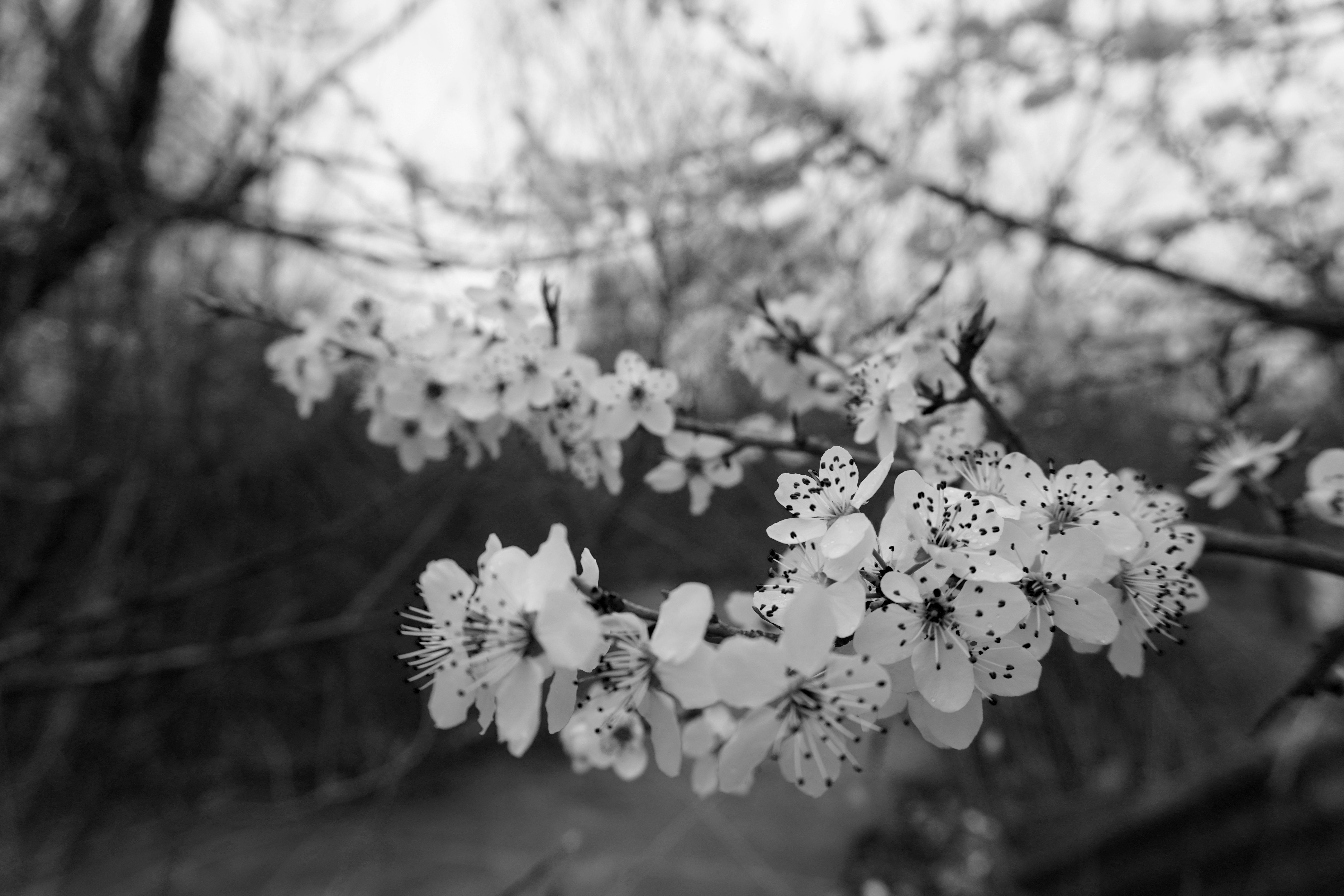Photo by nelly_shemshenovi