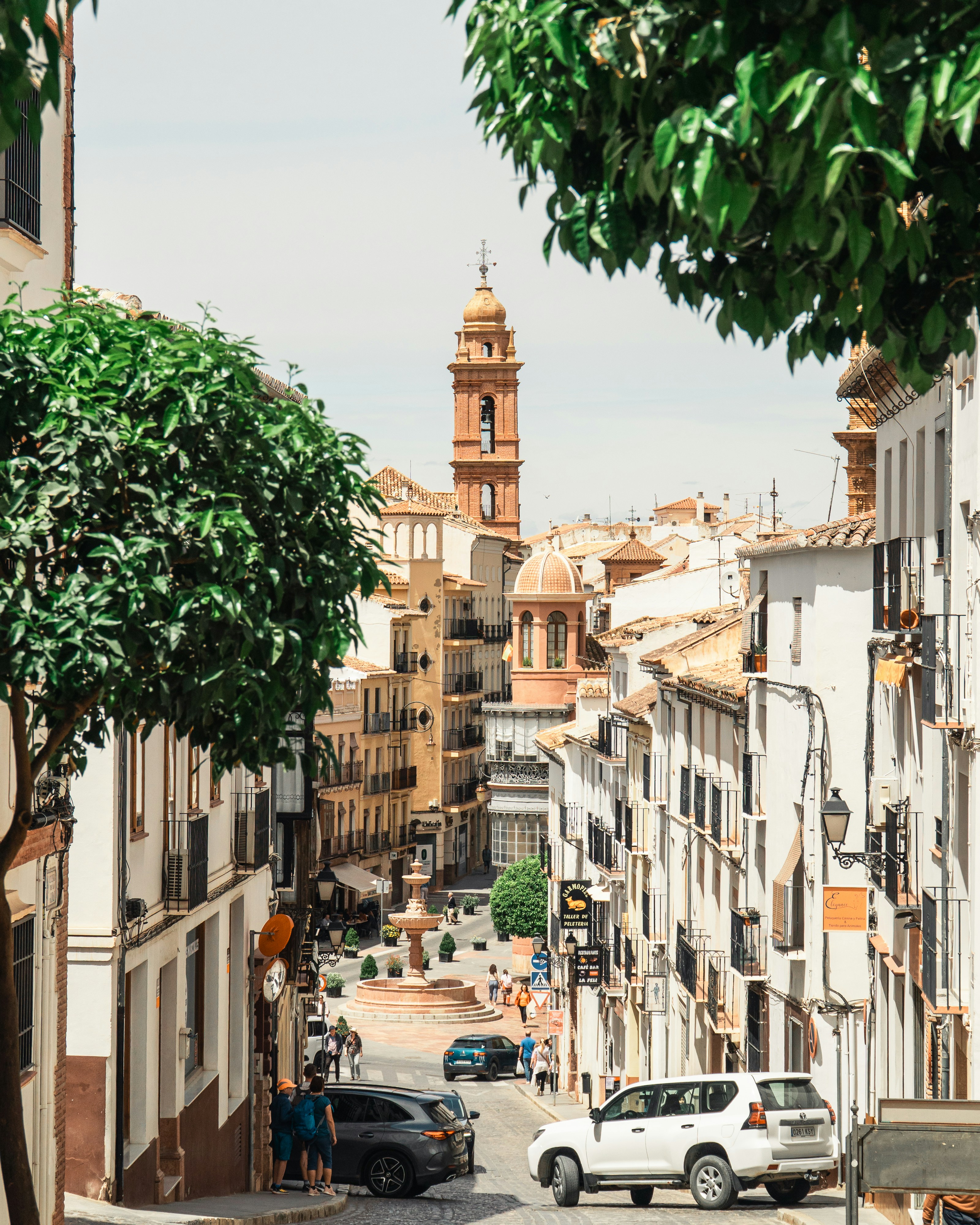 Local Artisans and Craft Shops