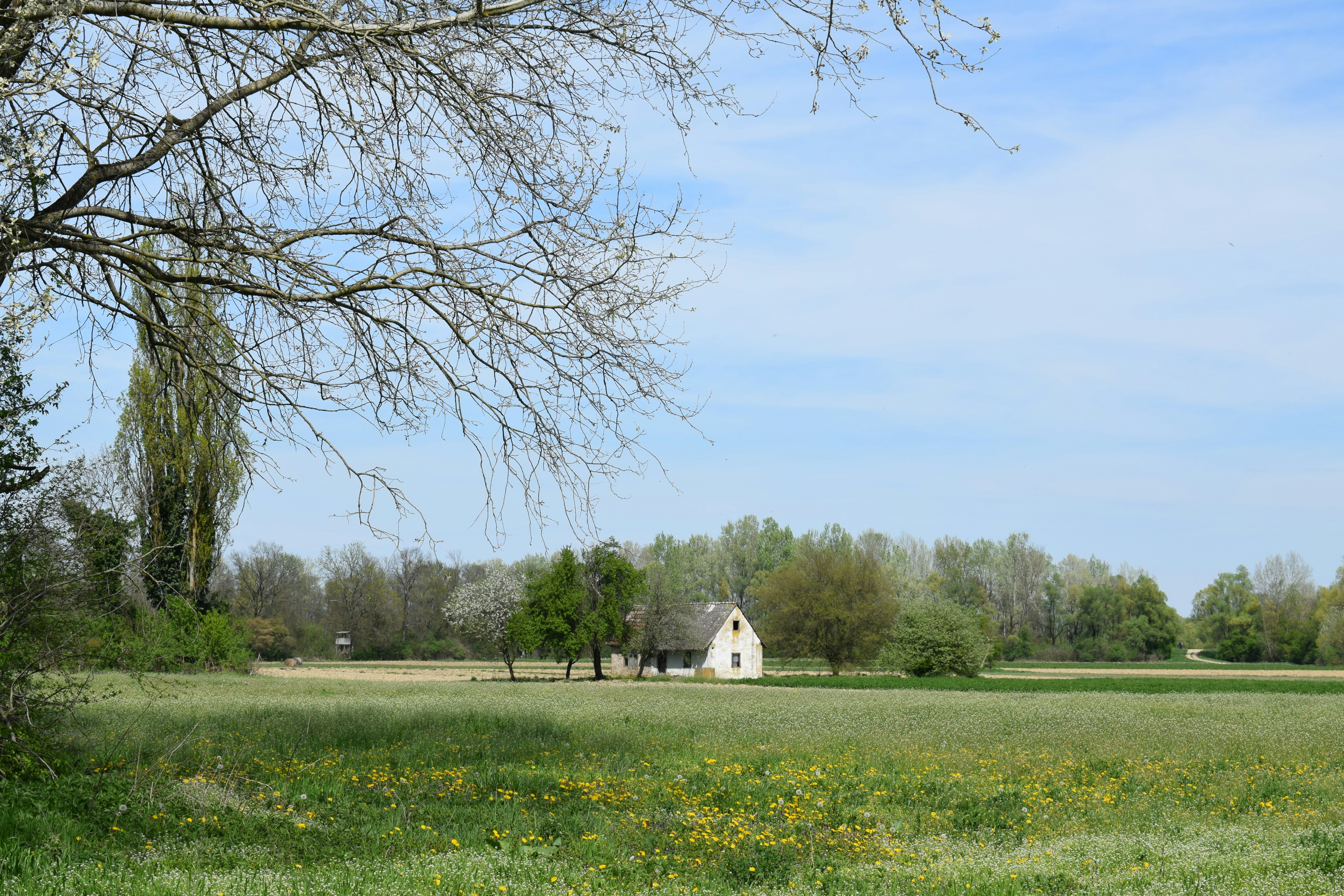 Photo by kristina001